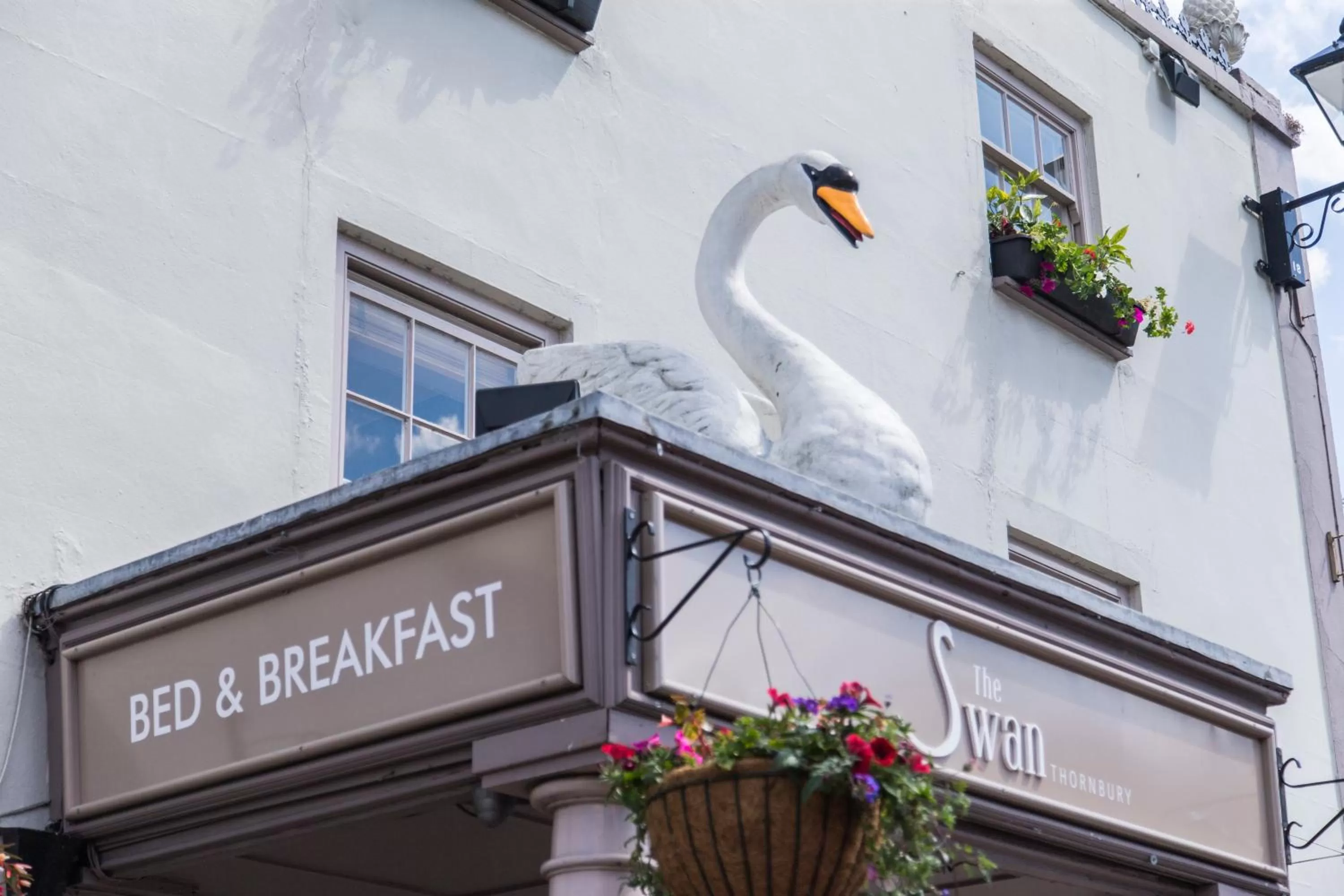 Property Building in The Swan