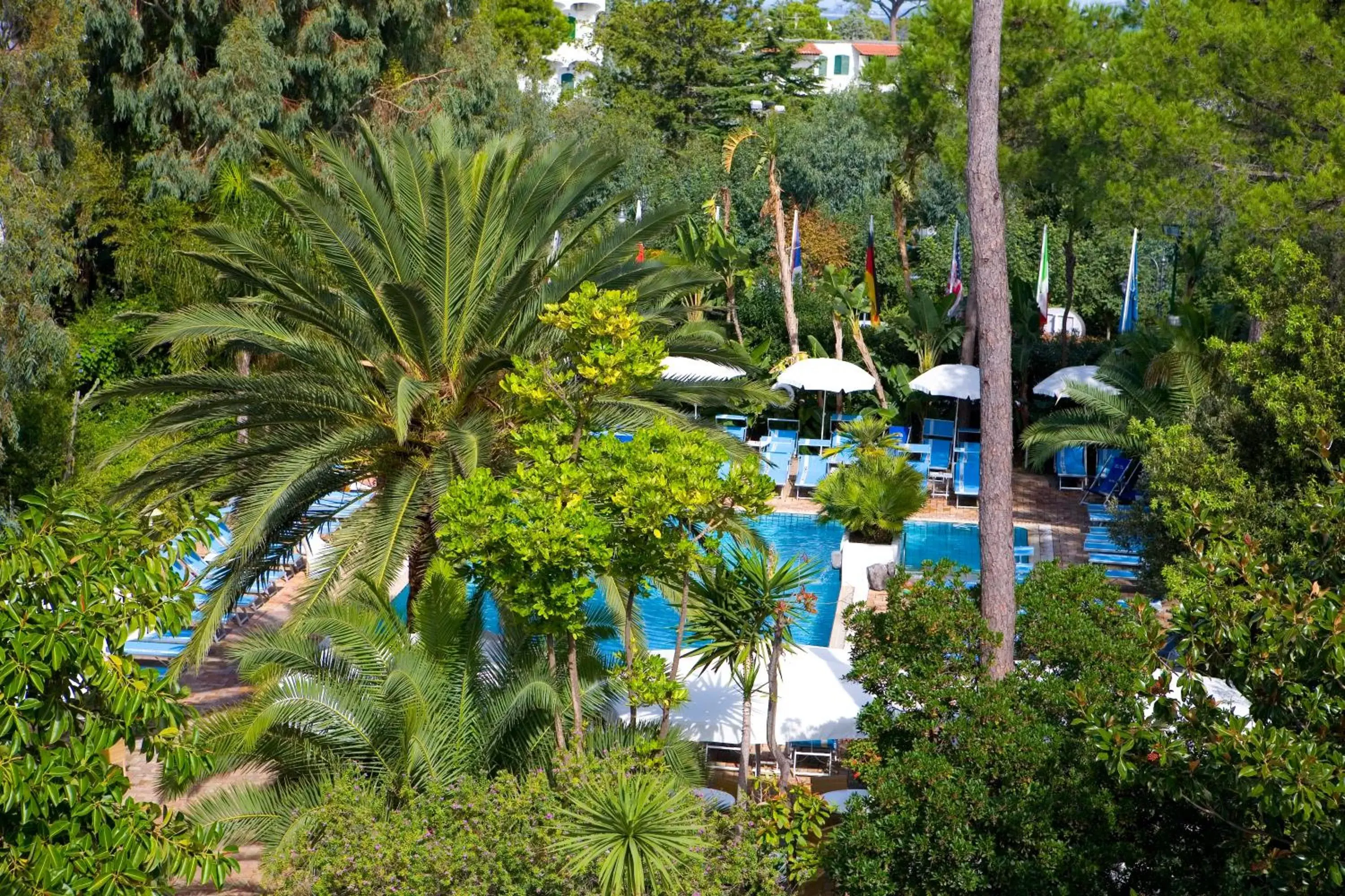 View (from property/room), Pool View in Central Park Terme