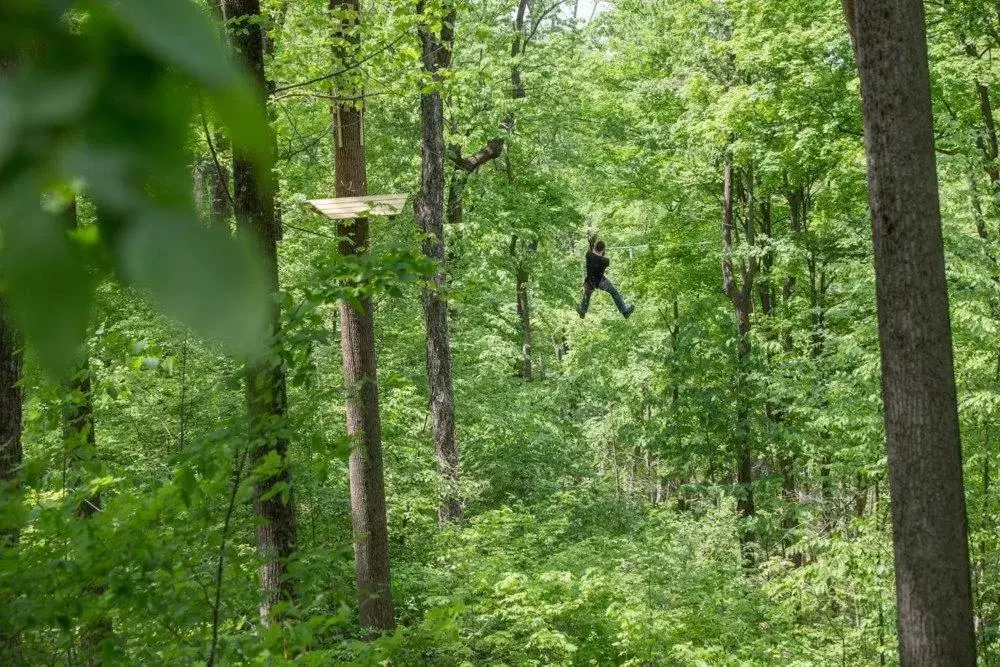 Sports in The Appalachian at Mountain Creek