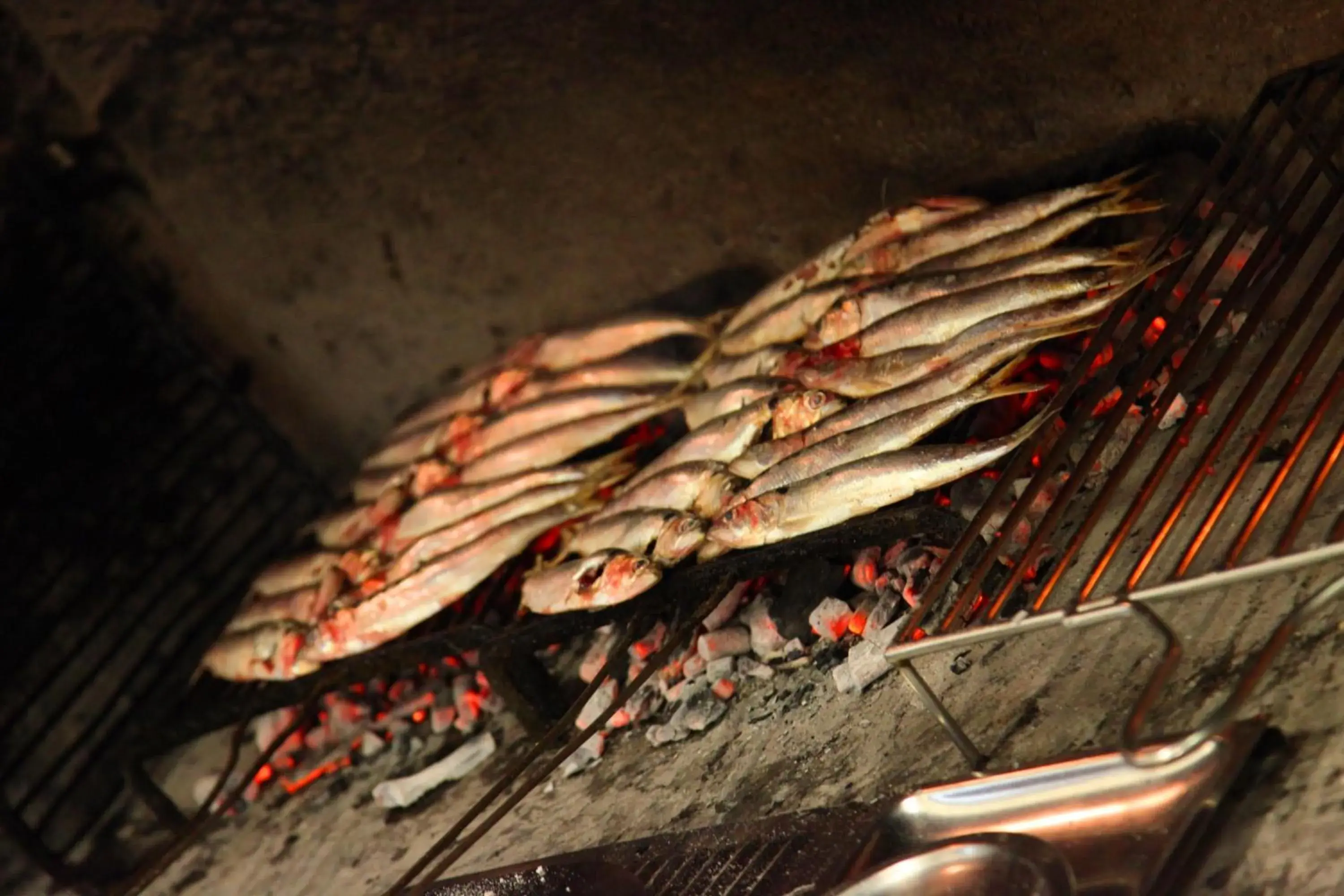 BBQ Facilities in Albergo Ristorante Papa