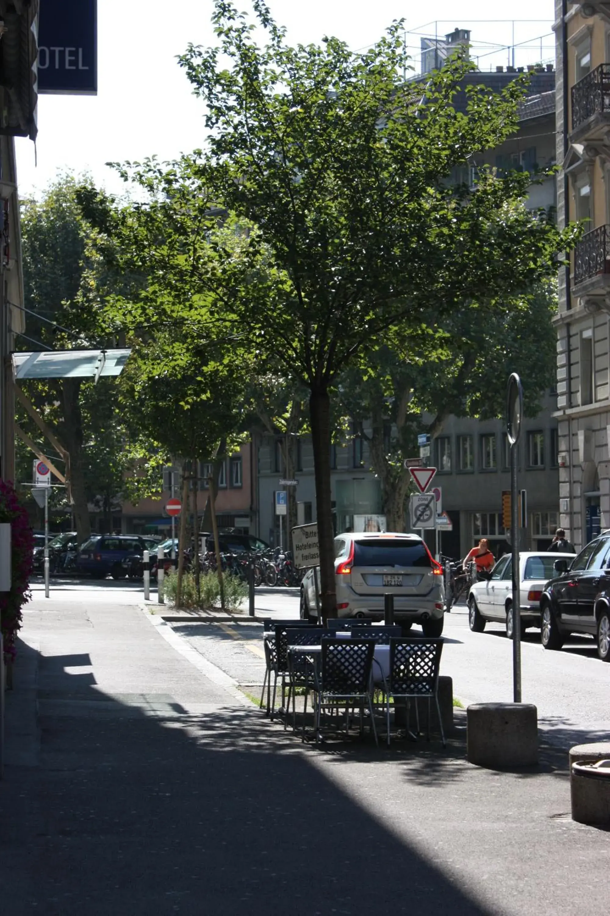 Area and facilities in Alexander Guesthouse Zurich Old Town