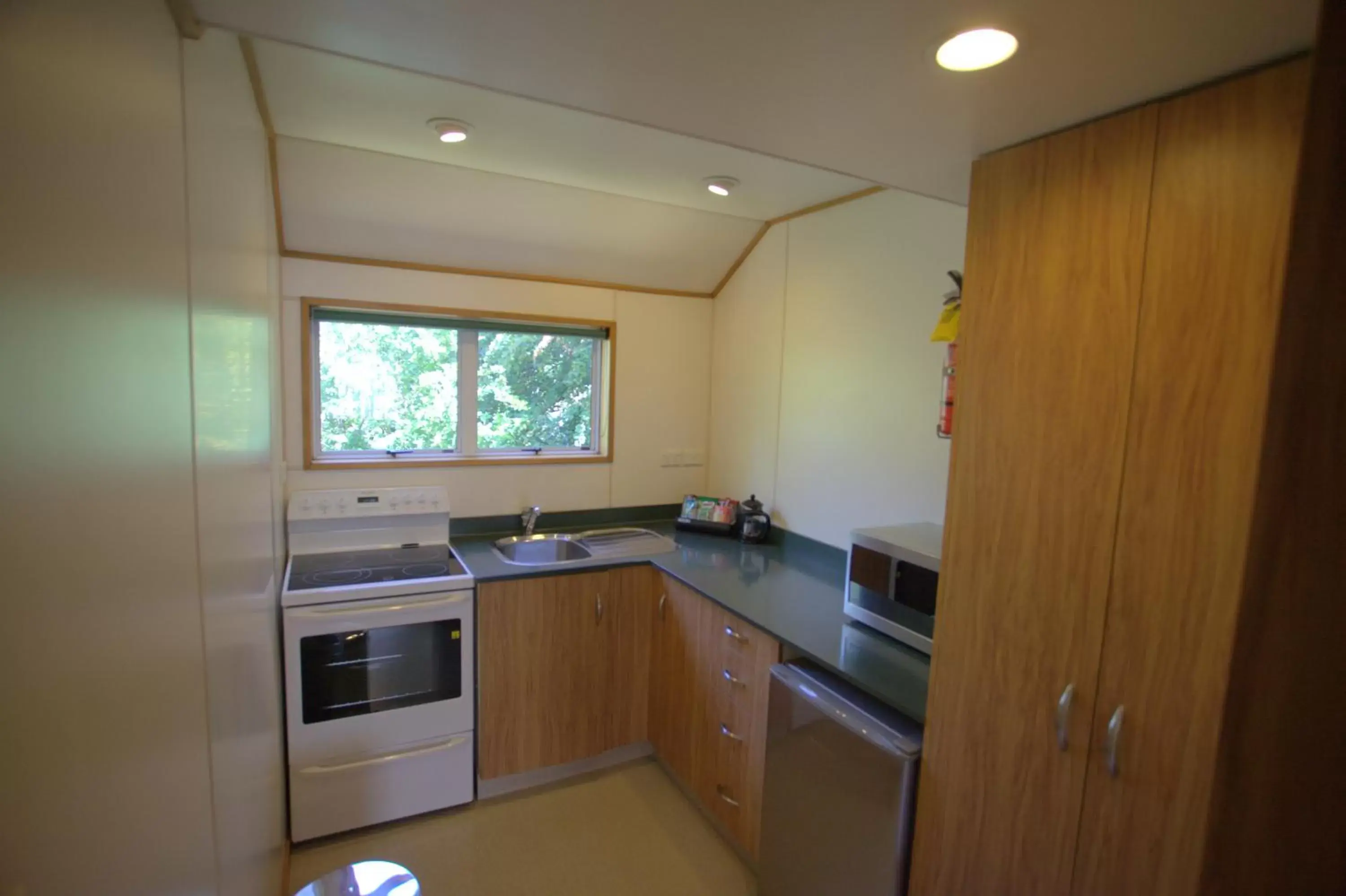 Day, Kitchen/Kitchenette in Balmoral Lodge Motel