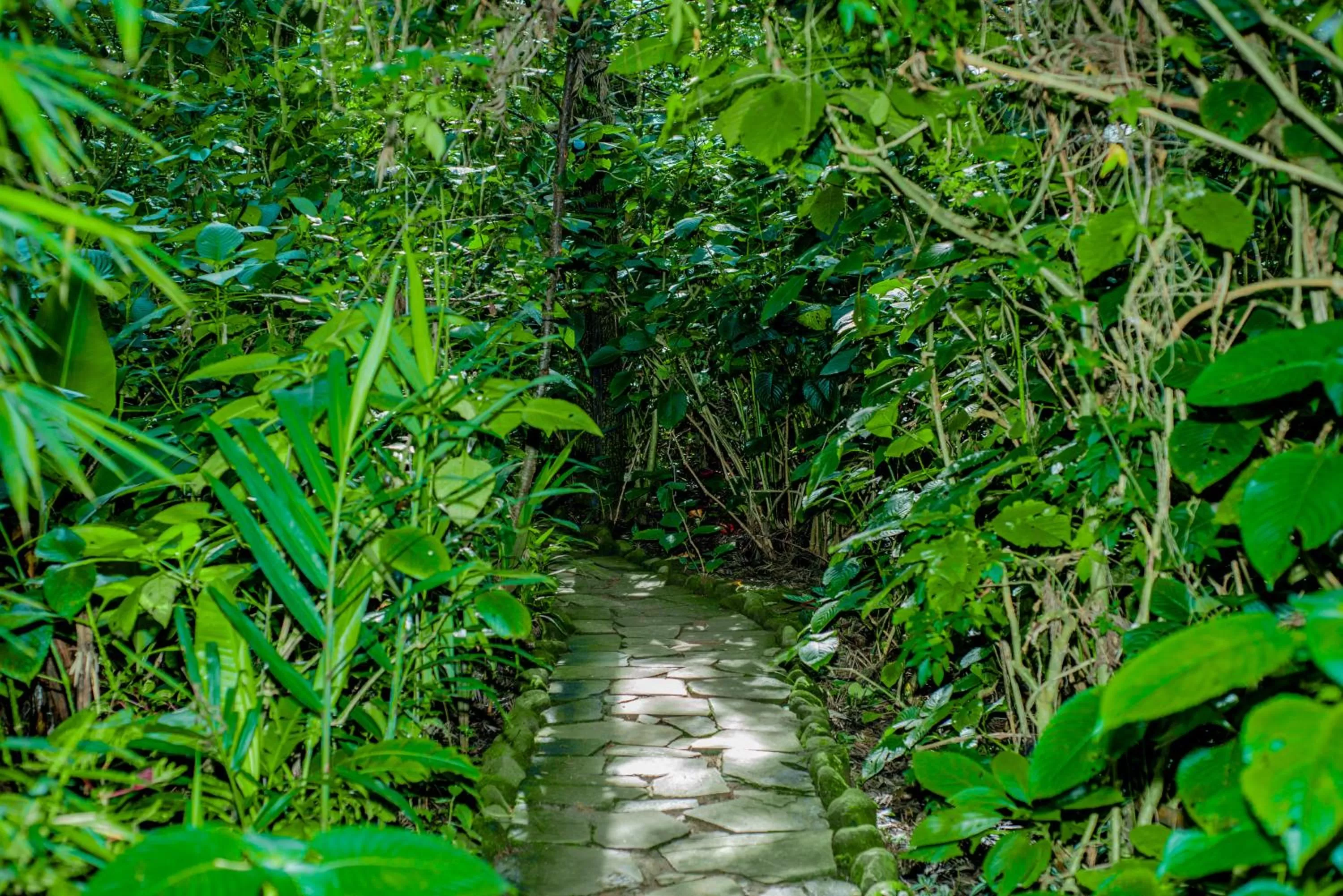 Natural landscape in Fravan Eco Resort By Apogee