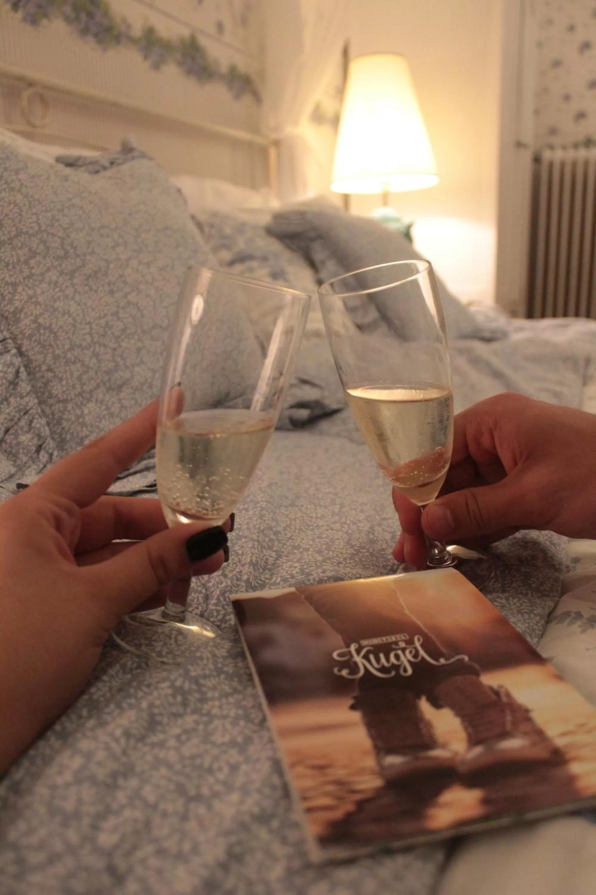 room service in Boutique Hotel Kugel Wien