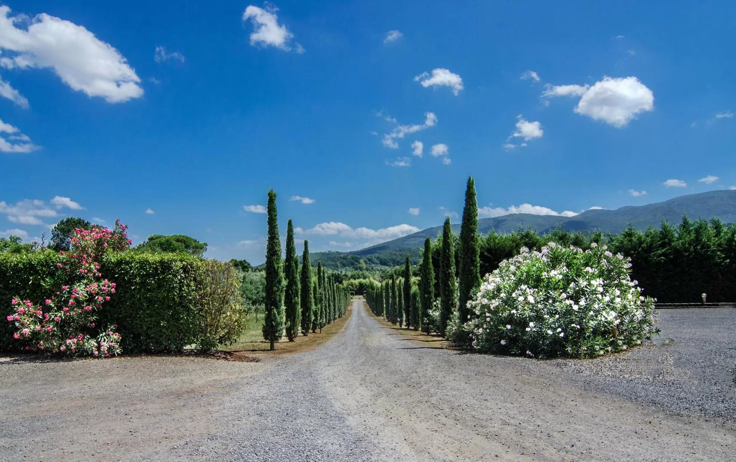Facade/entrance in Hotel Villa Cheli