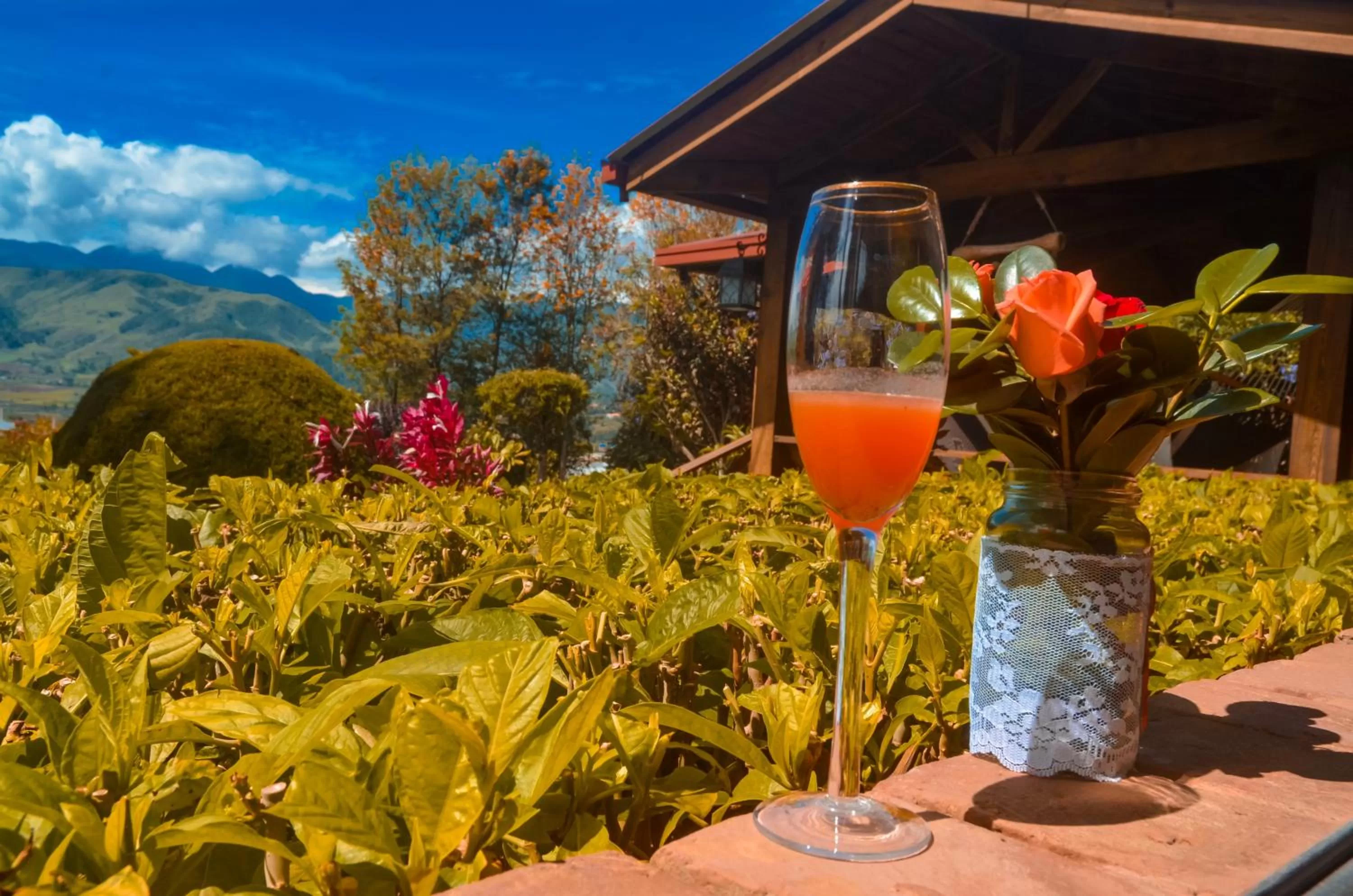 Drinks in Hotel Rancho Constanza & Cabañas de la Montaña