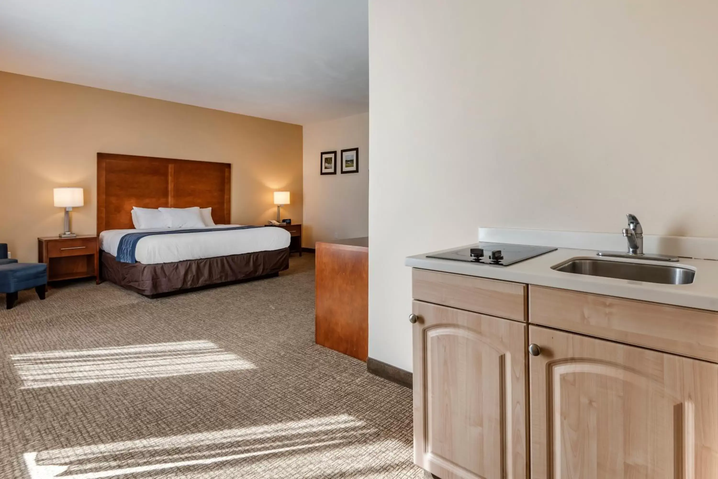 Comfort Inn Apalachin - Binghamton W Route 17