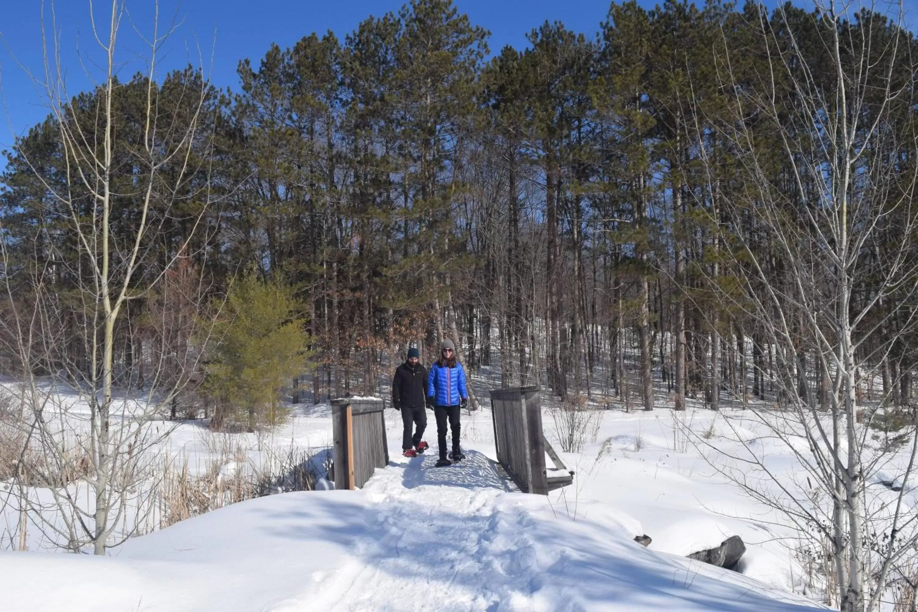 Other, Winter in JW Marriott The Rosseau Muskoka Resort & Spa