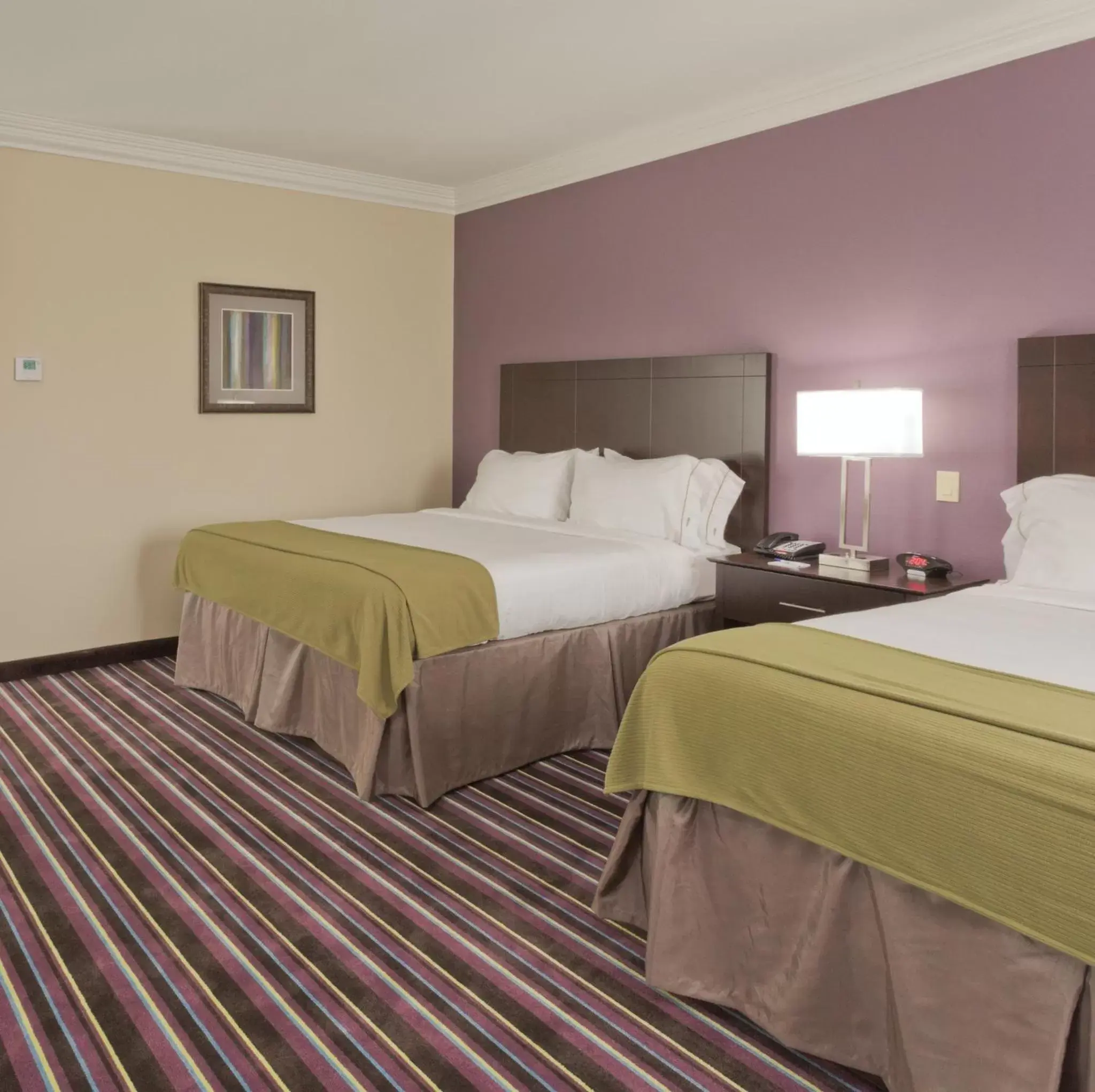 Photo of the whole room, Bed in Holiday Inn Express & Suites Raceland - Highway 90, an IHG Hotel