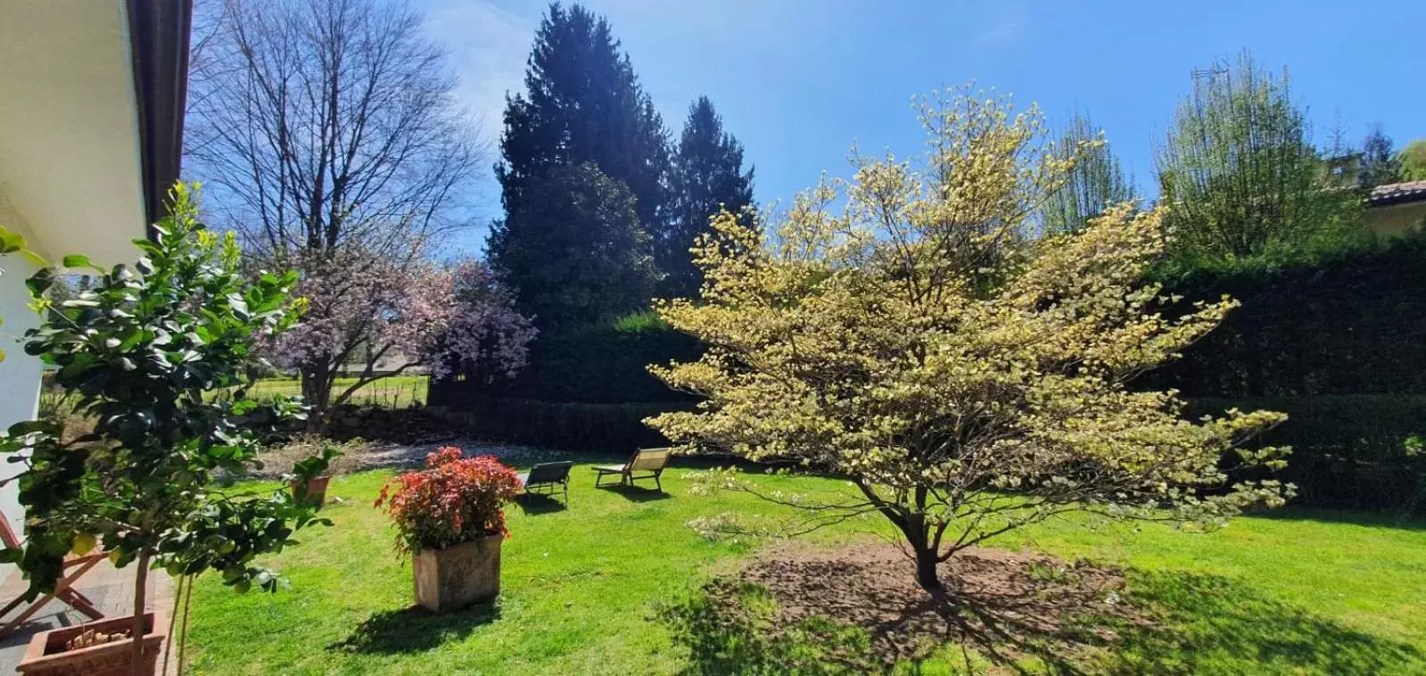 Garden in b&b le magnolie