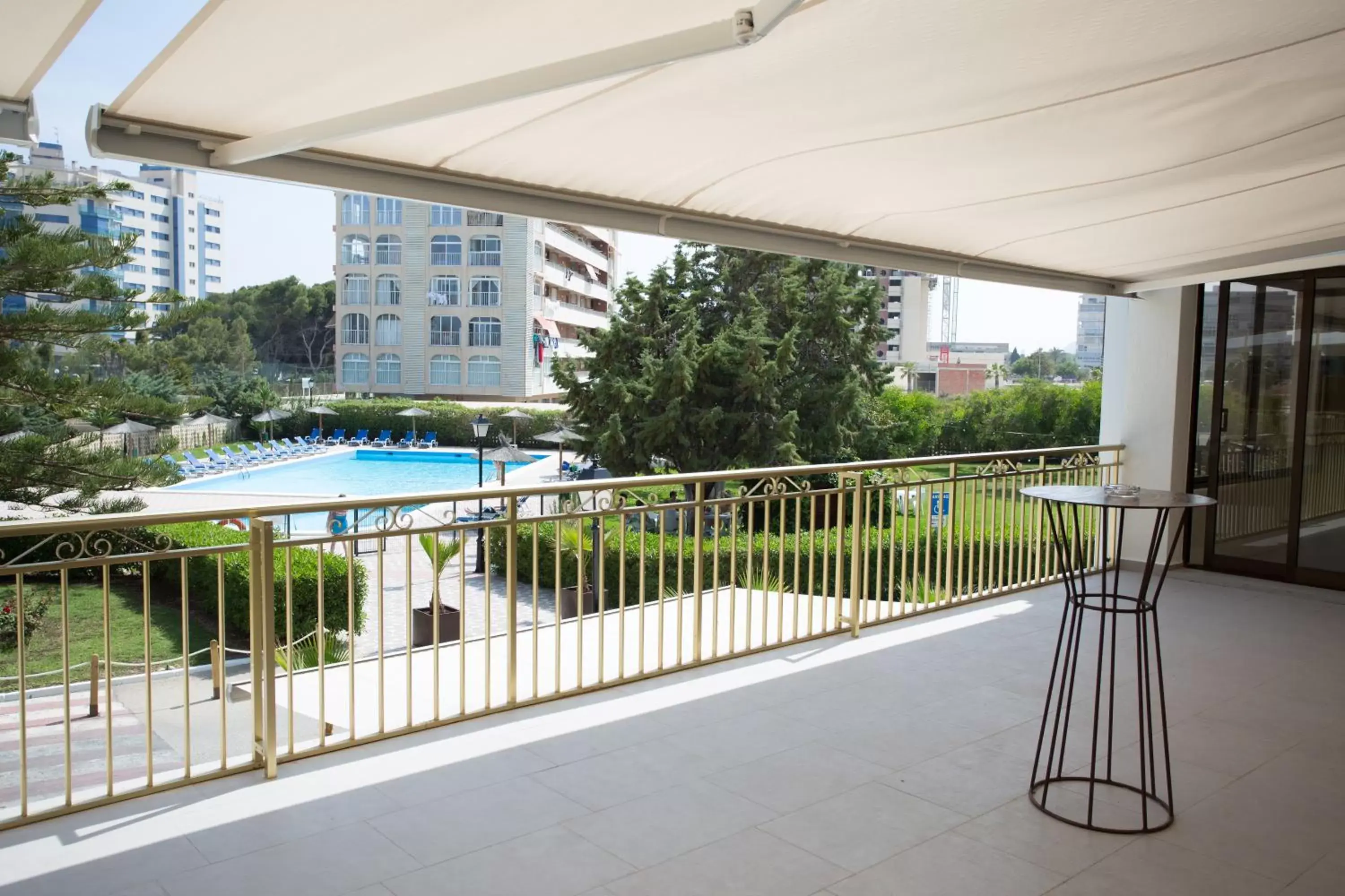 Garden, Swimming Pool in Hotel Almirante