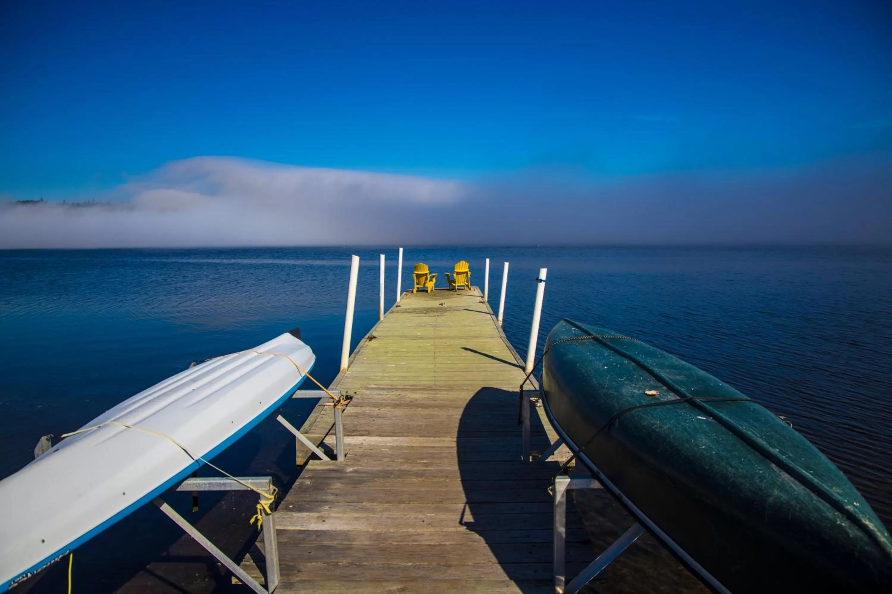 Canoeing in Birds of a Feather Victoria Oceanfront Studio Suites