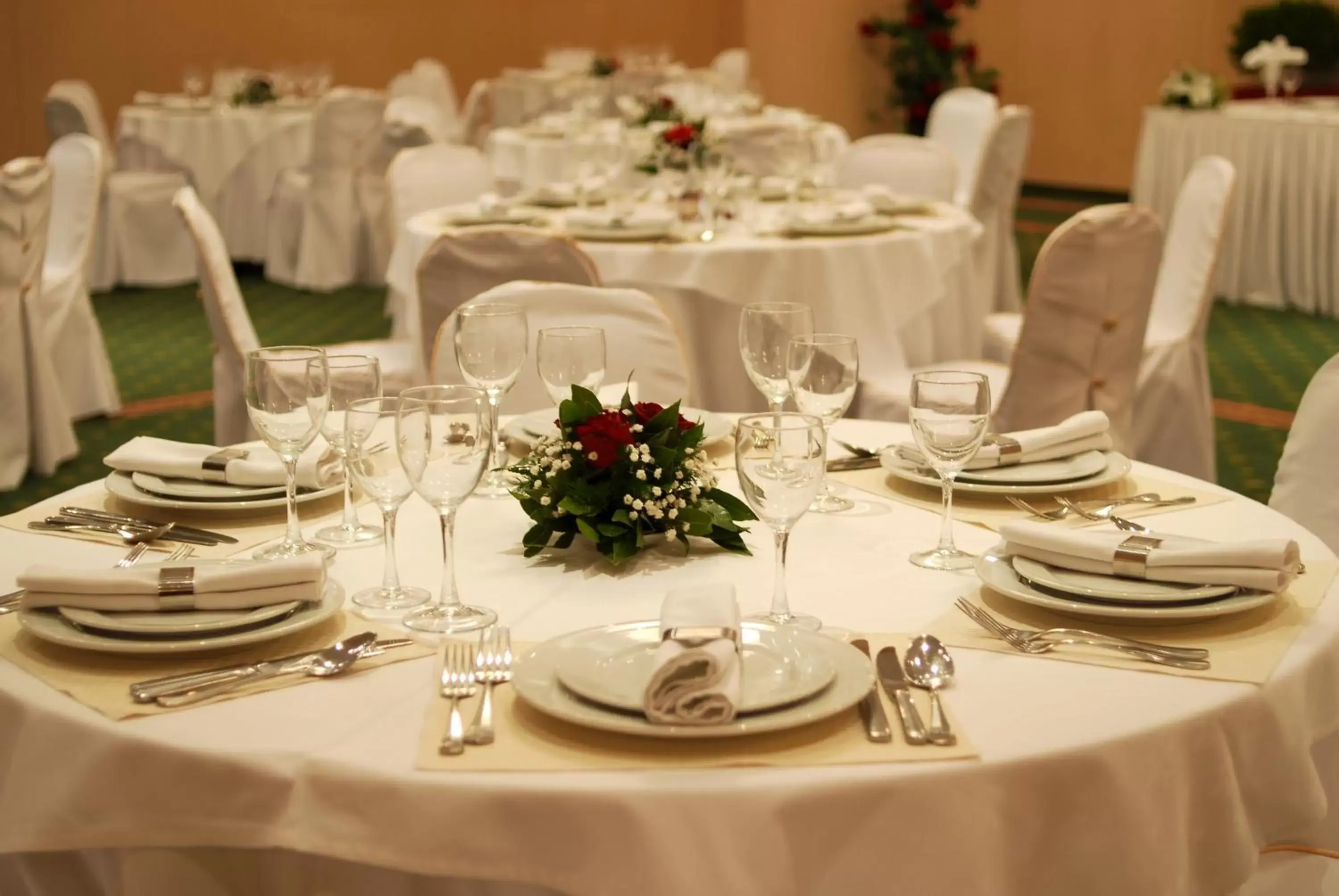 Banquet/Function facilities, Restaurant/Places to Eat in Palatino Hotel