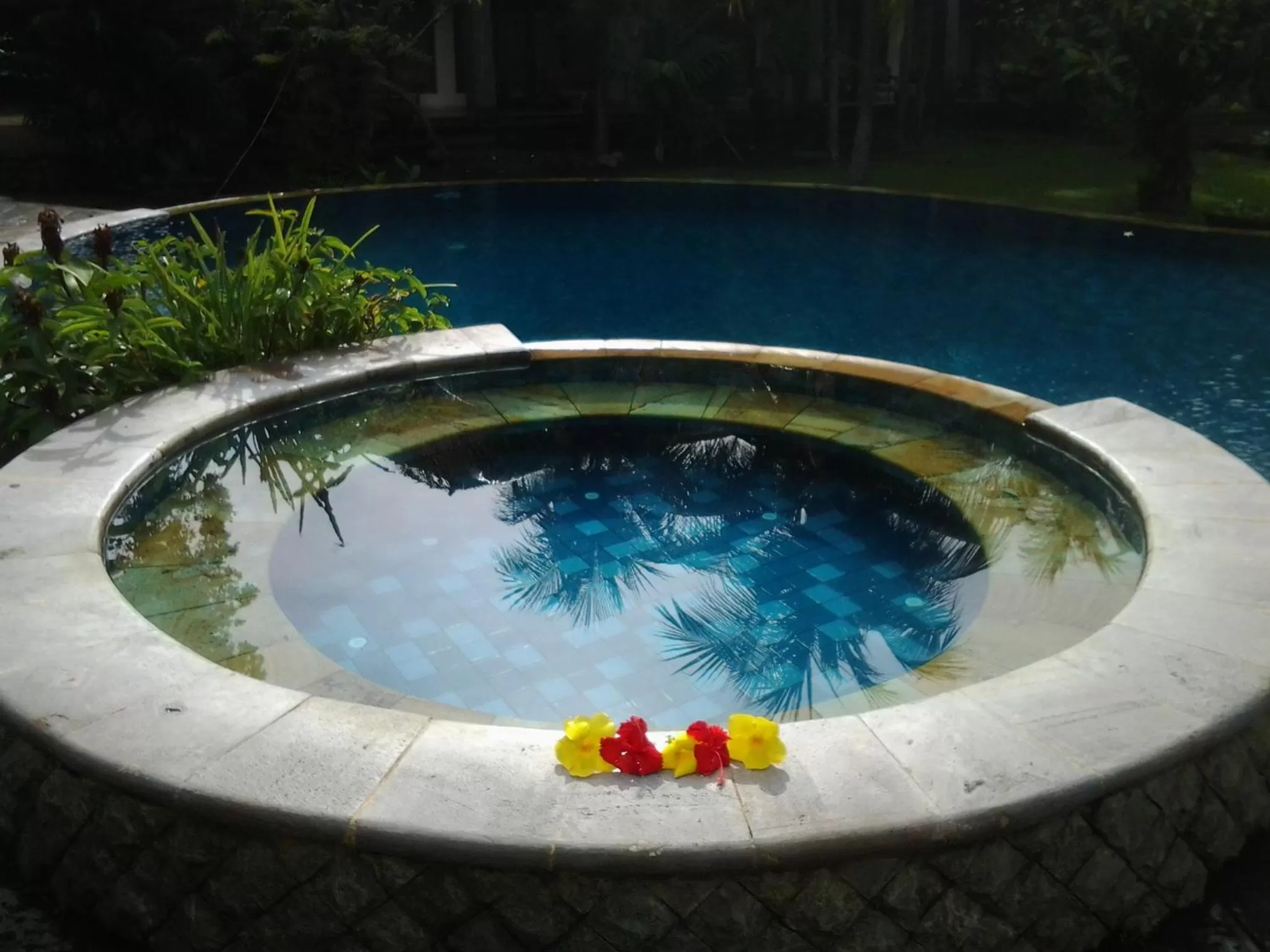 Swimming Pool in Nirwana Sea Side Cottages