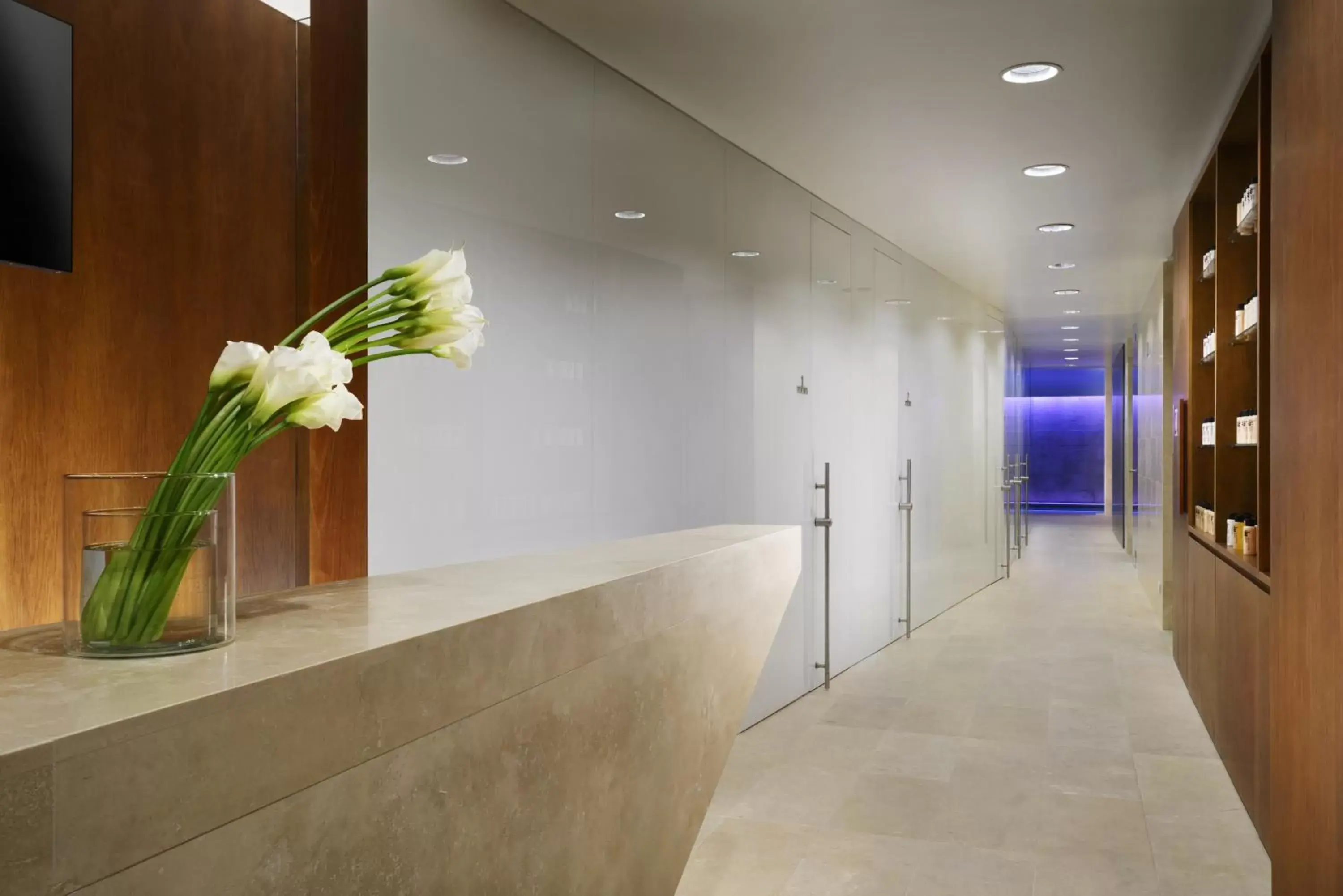 Spa and wellness centre/facilities, Lobby/Reception in Palazzo Montemartini Rome, A Radisson Collection Hotel