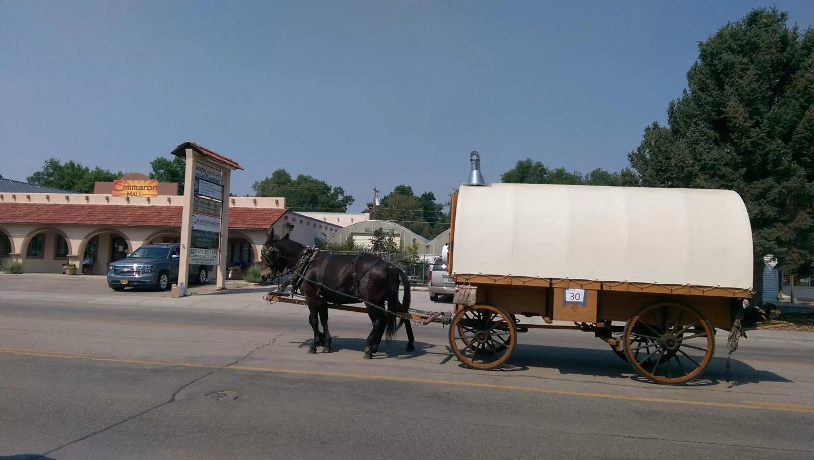 Other Animals in Big Horn Motel