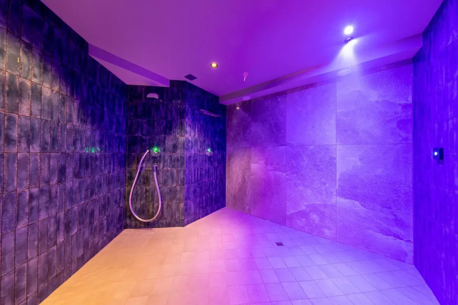 Spa and wellness centre/facilities, Bathroom in Hotel Kreuz&Post**** Grindelwald