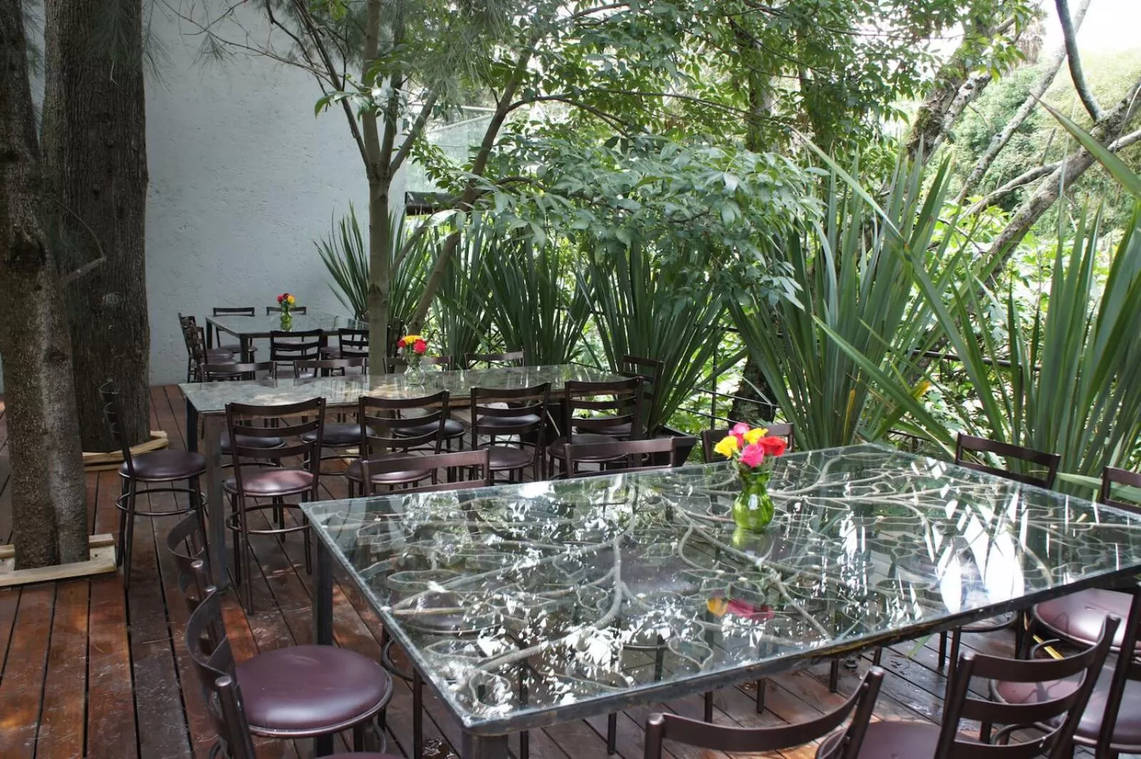 Patio in Casa Tepoztlán