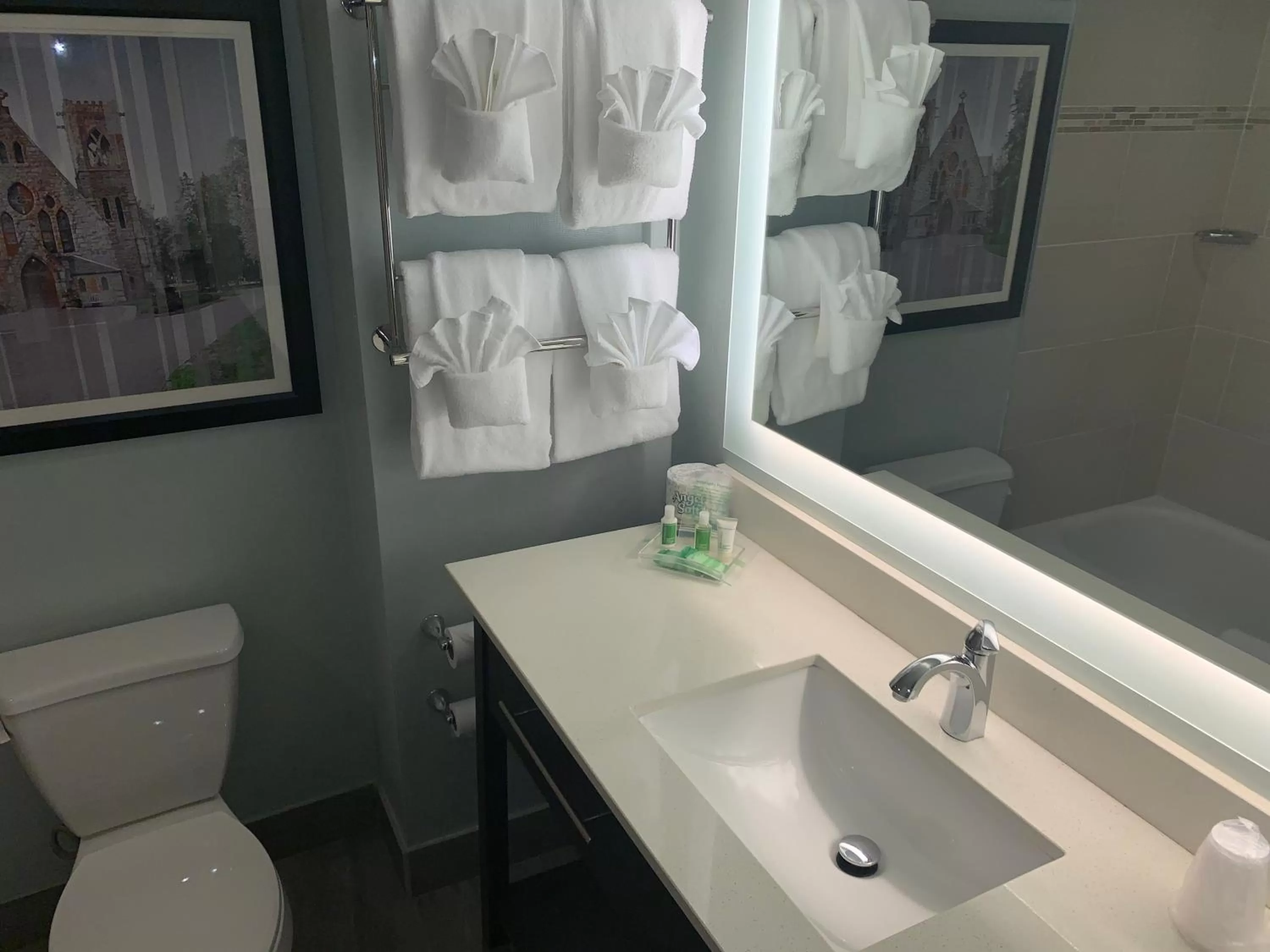 Queen Room with Two Queen Beds - Non-Smoking in Holiday Inn University Area Charlottesville, an IHG Hotel