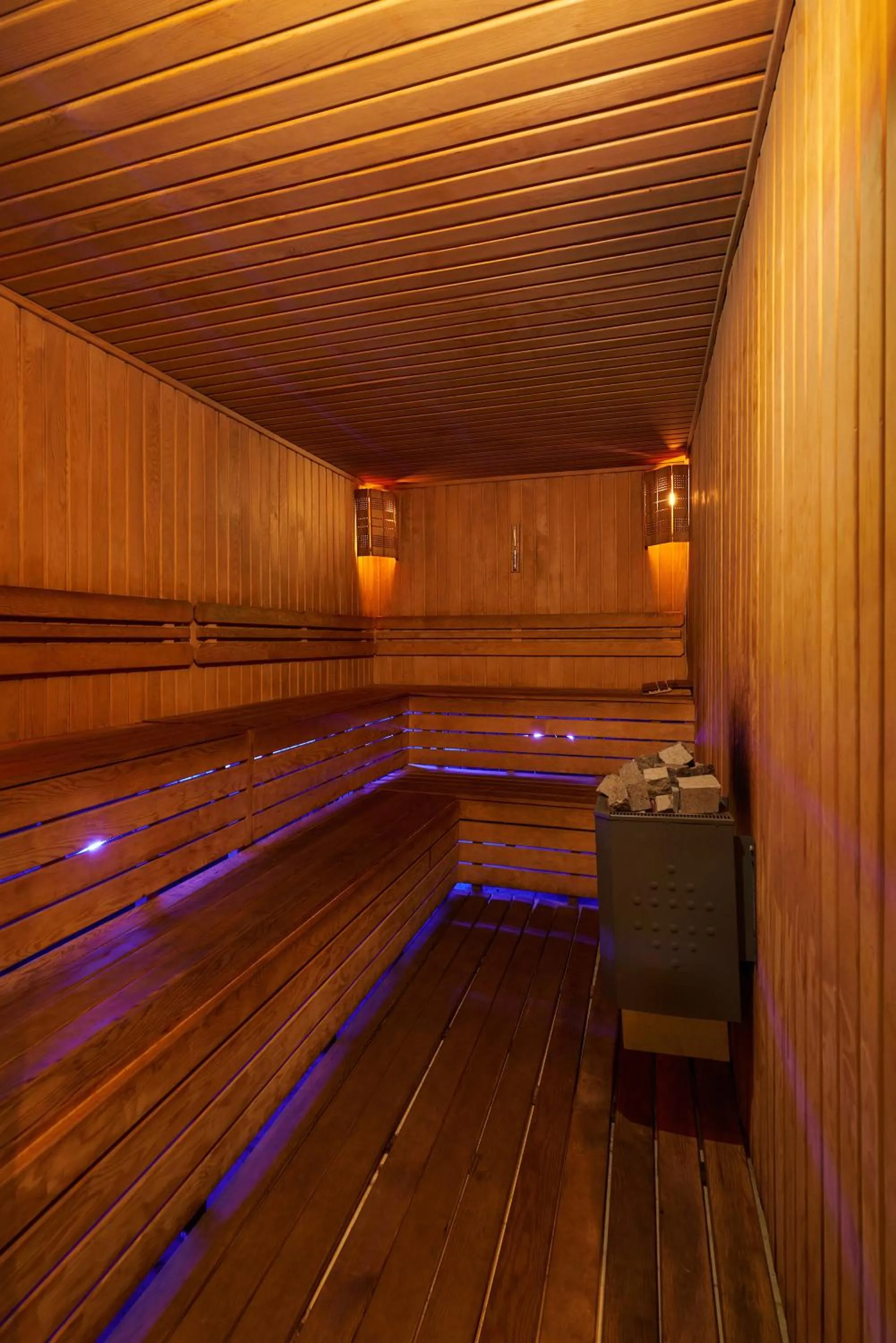 Sauna in Atro Hotel