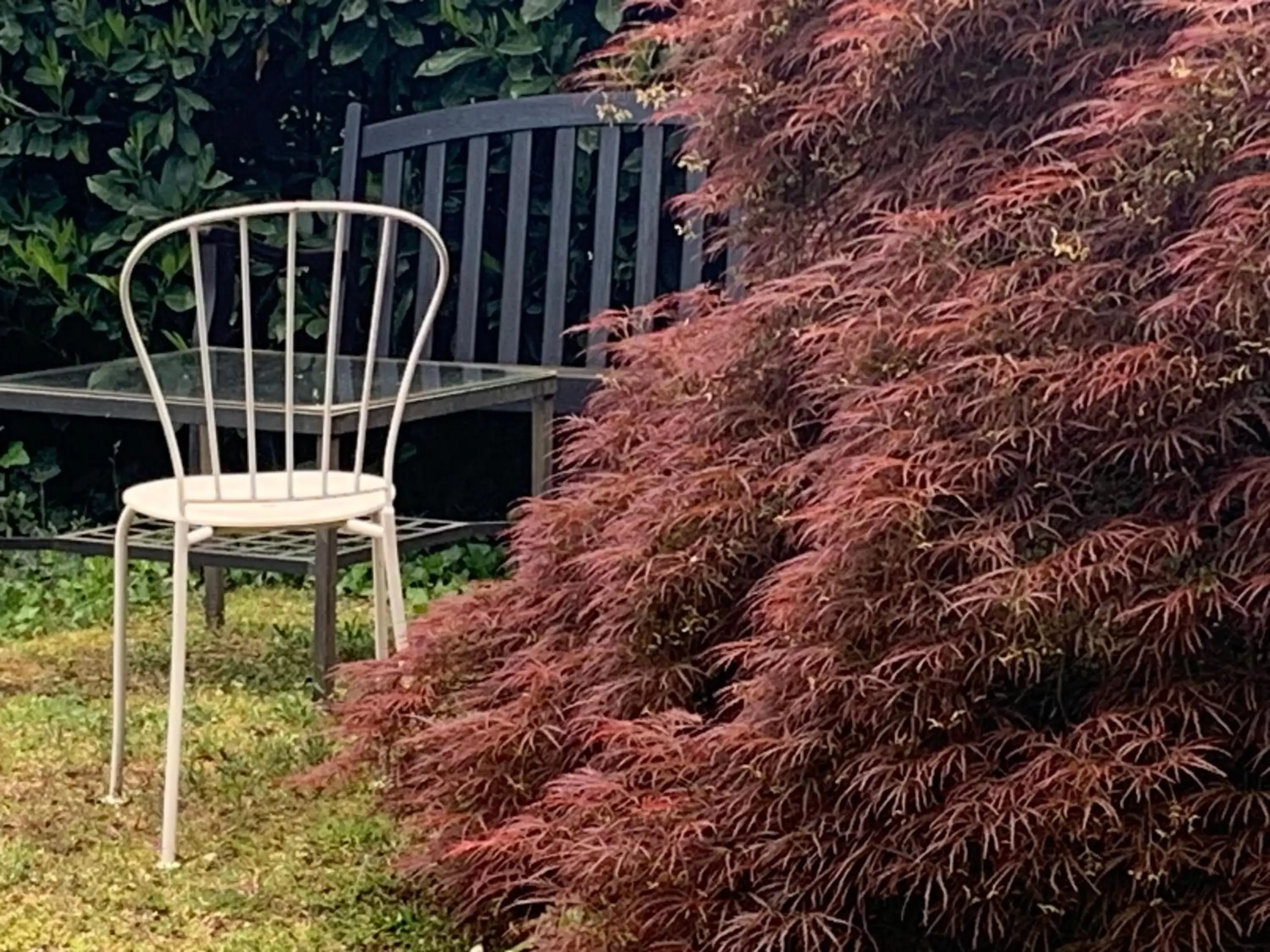 Garden in CASABELLA-LAGO MAGGIORE