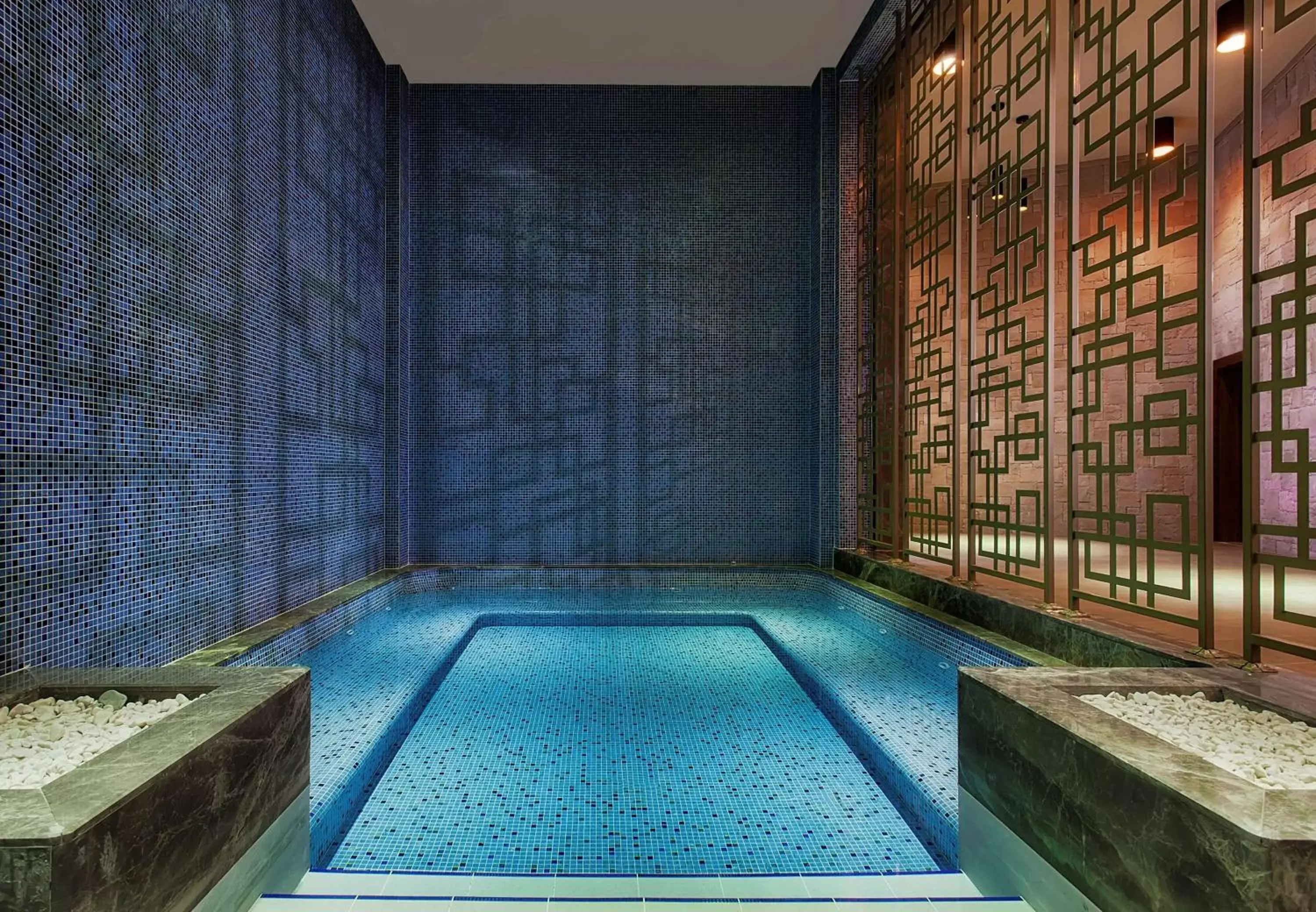 Hot Tub, Swimming Pool in Radisson Blu Hotel & Spa, Istanbul Tuzla