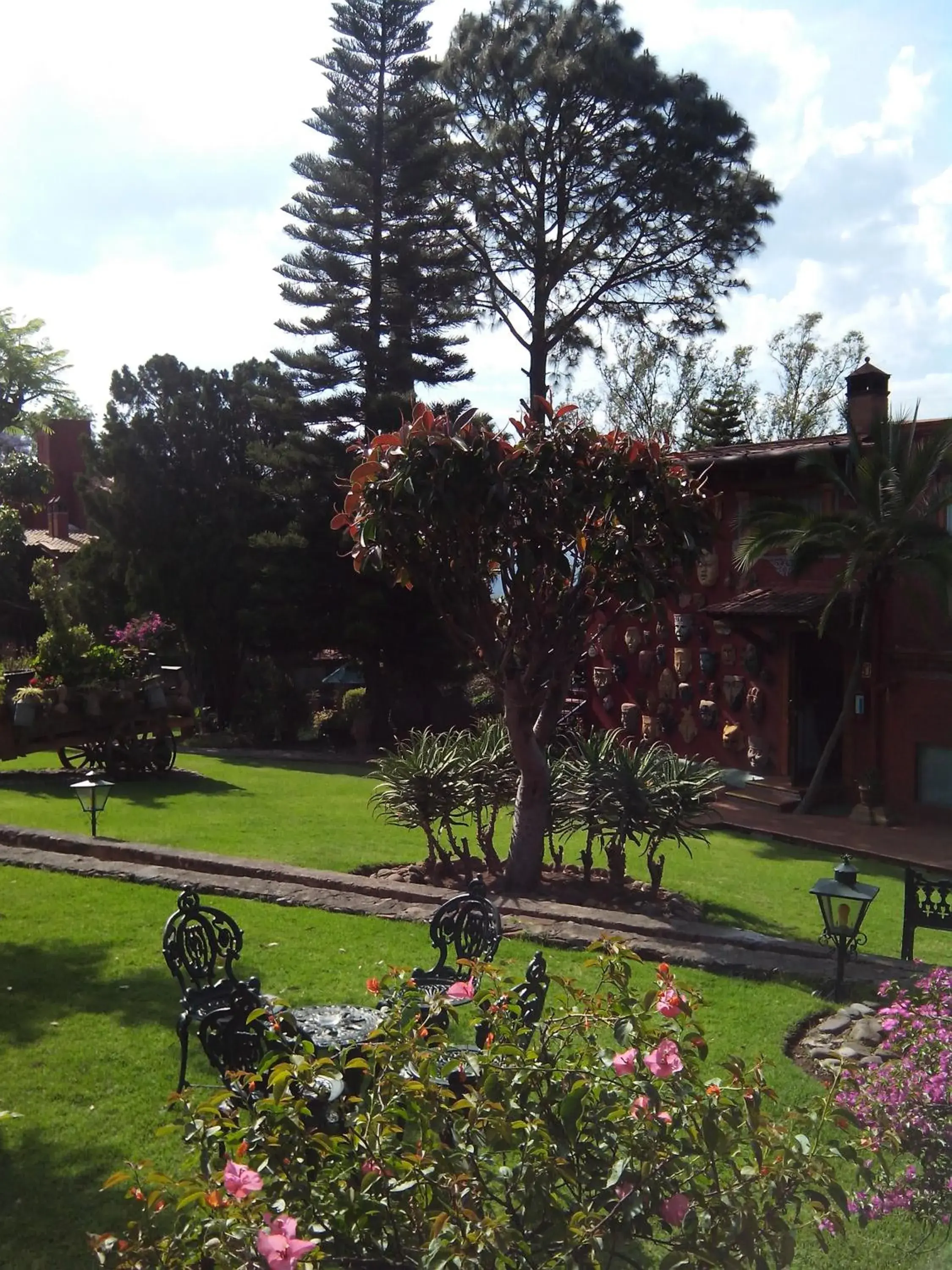 Garden in Villa San Jose Hotel & Suites