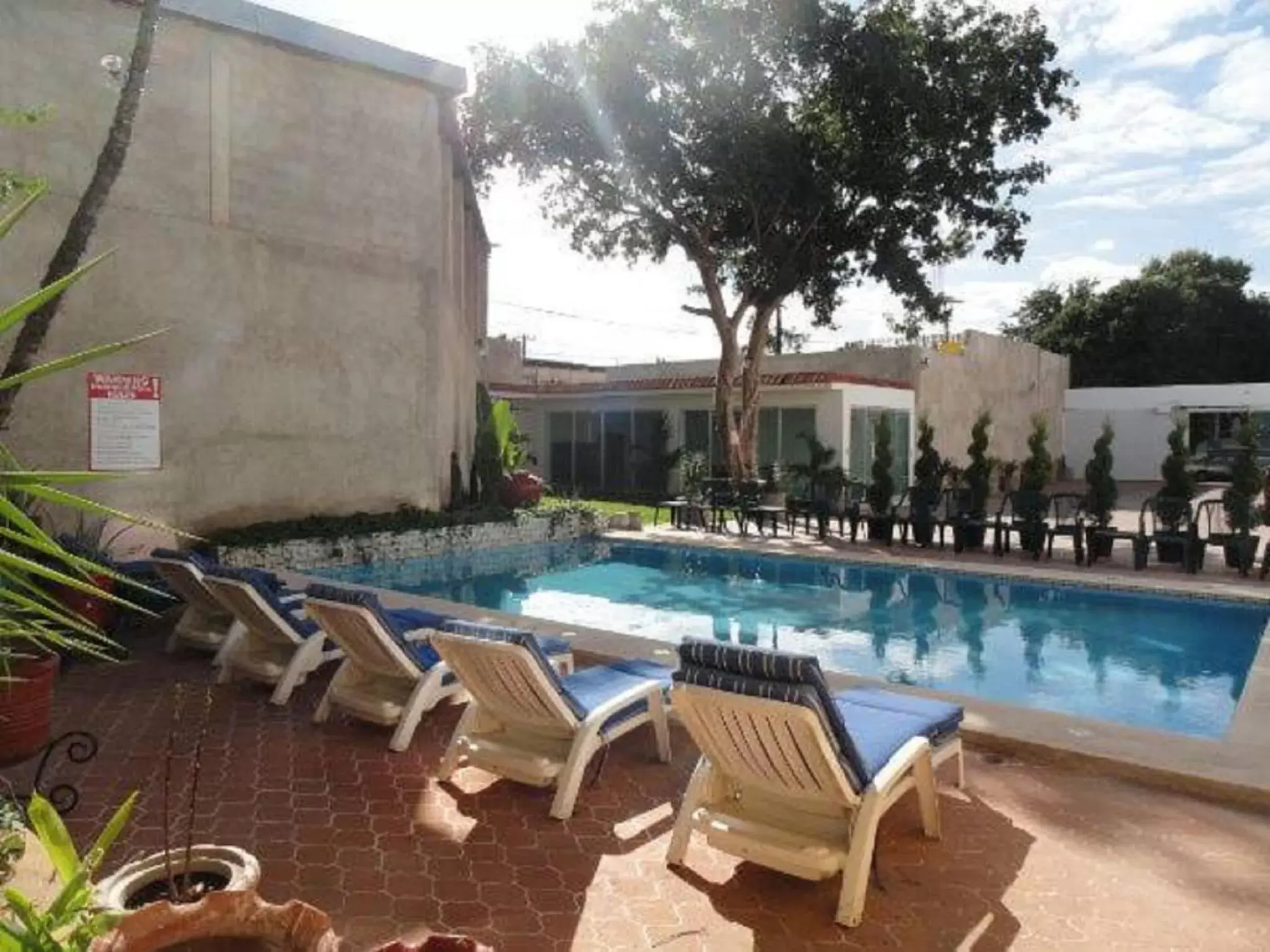 Swimming Pool in Hotel Las Dalias Inn