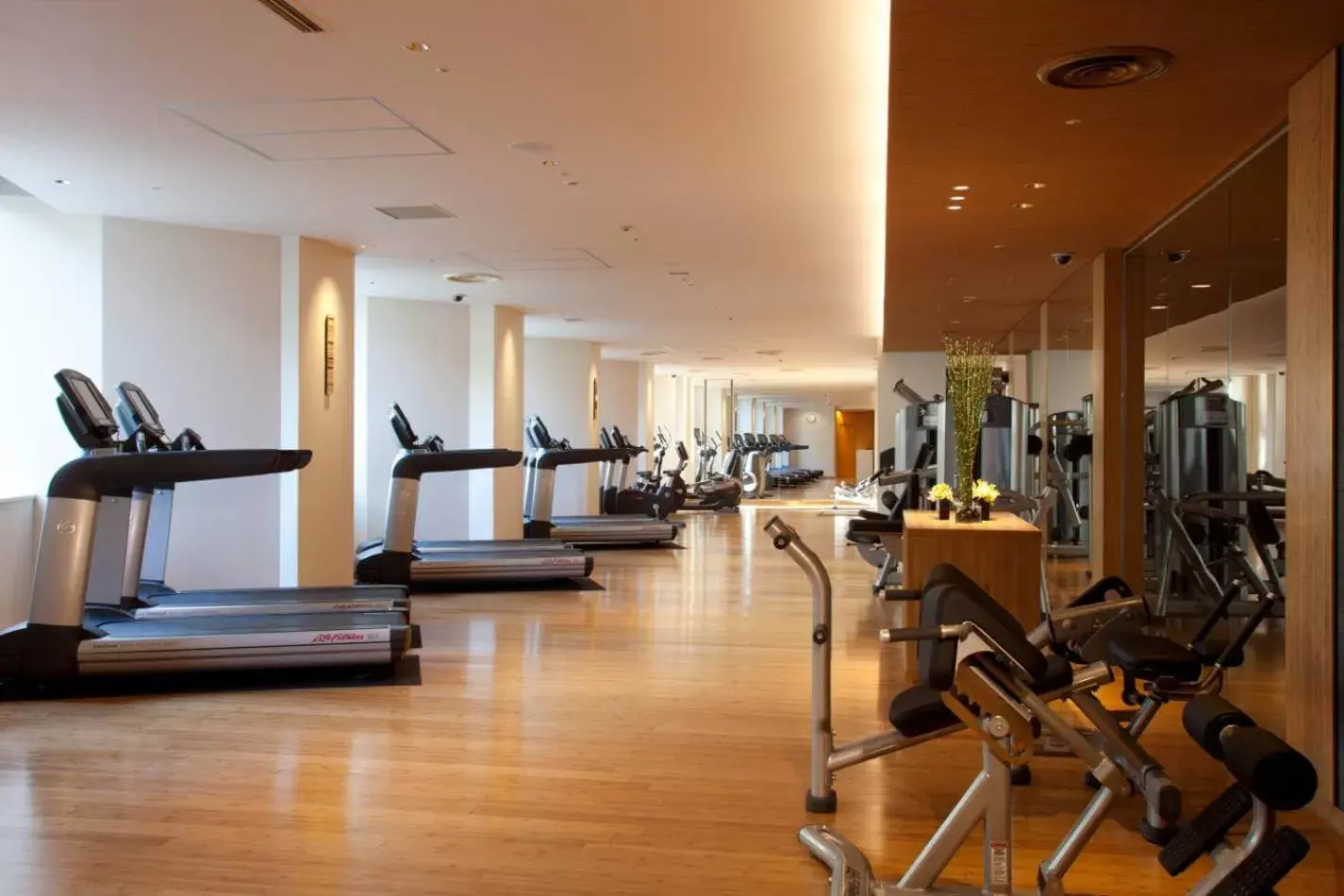 Fitness centre/facilities, Fitness Center/Facilities in ANA InterContinental Tokyo, an IHG Hotel