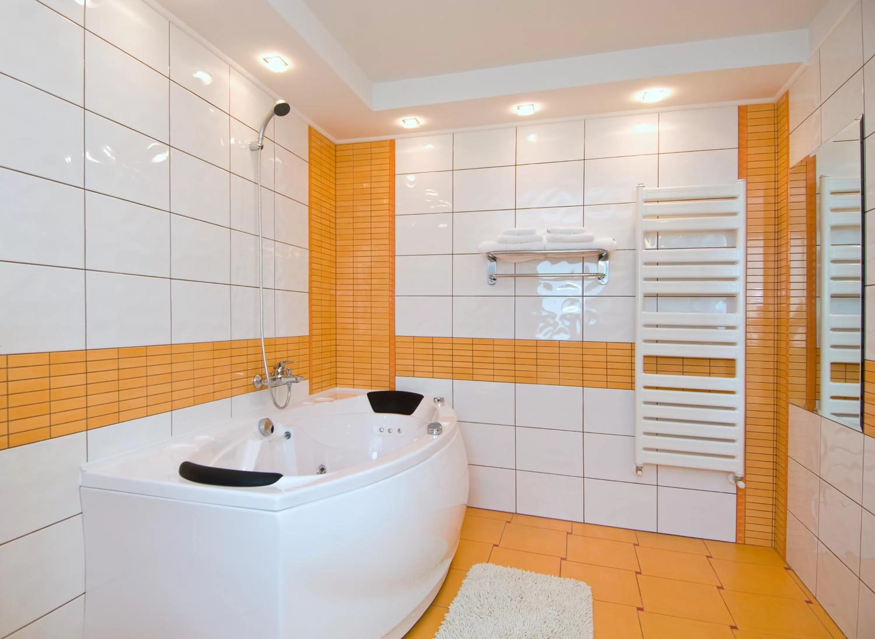 Bathroom in Hotel Ambient