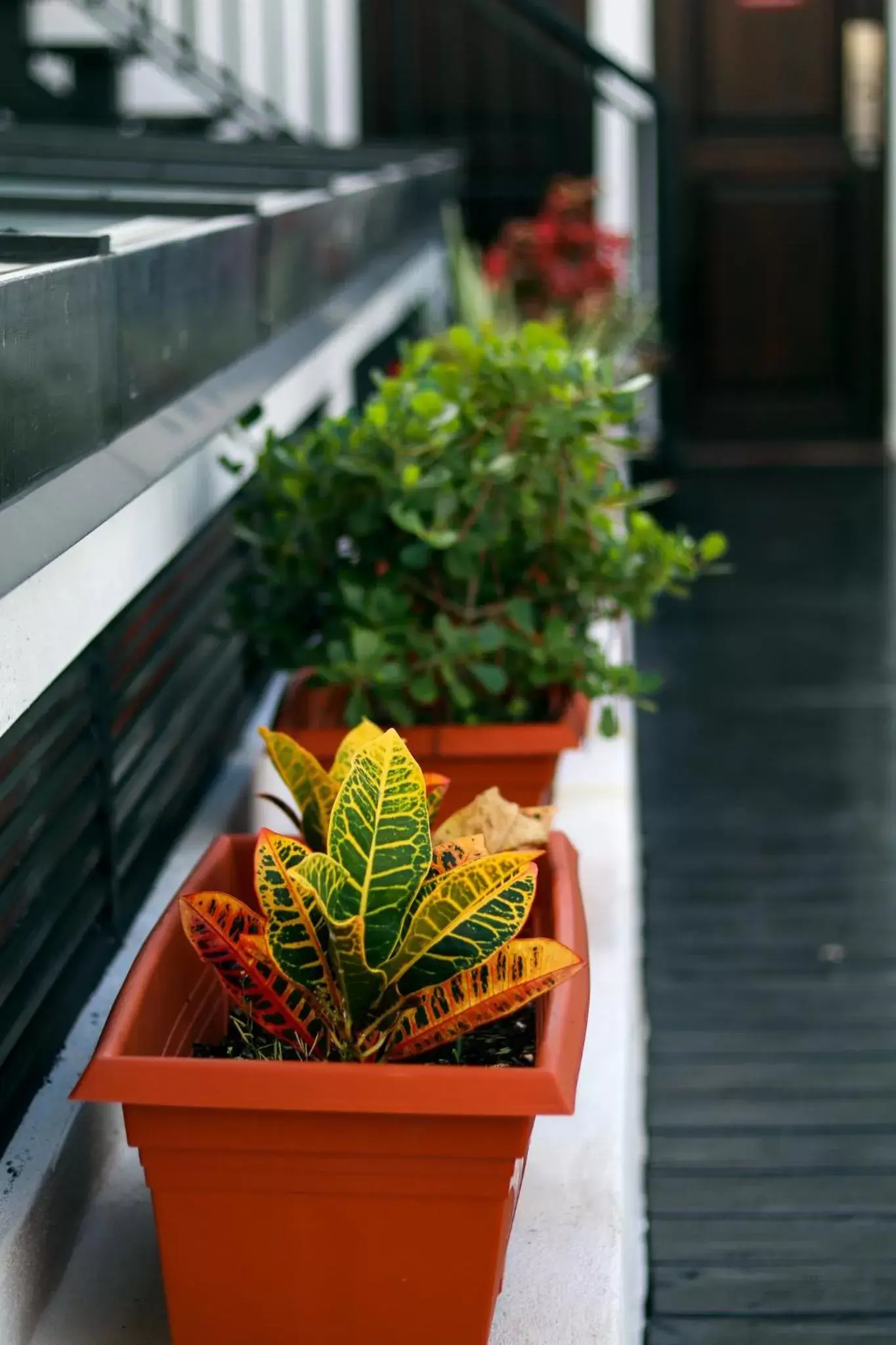 Balcony/Terrace in 352 Guest House Hotel Boutique