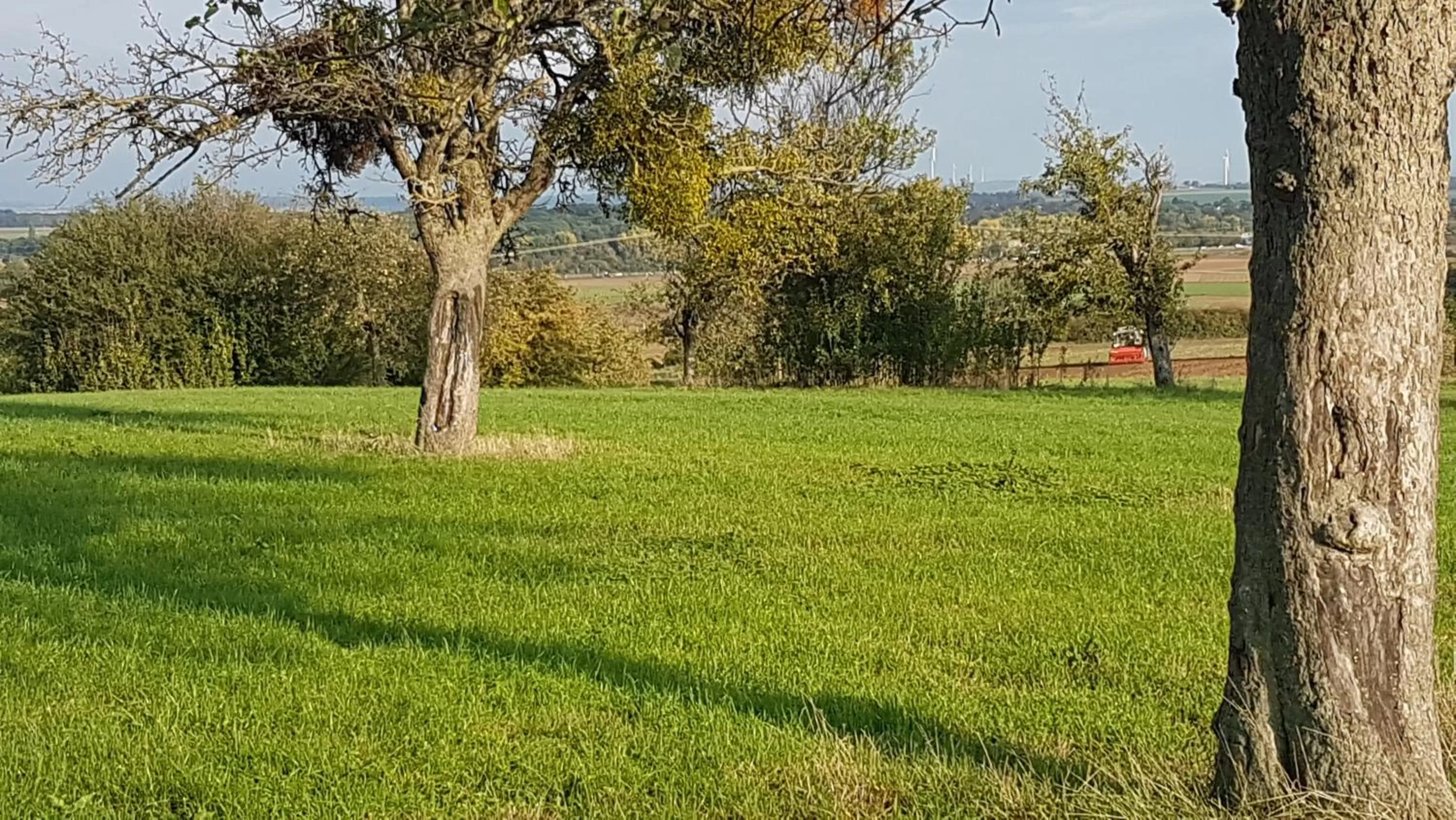 Hiking in Hardtwald Hotel