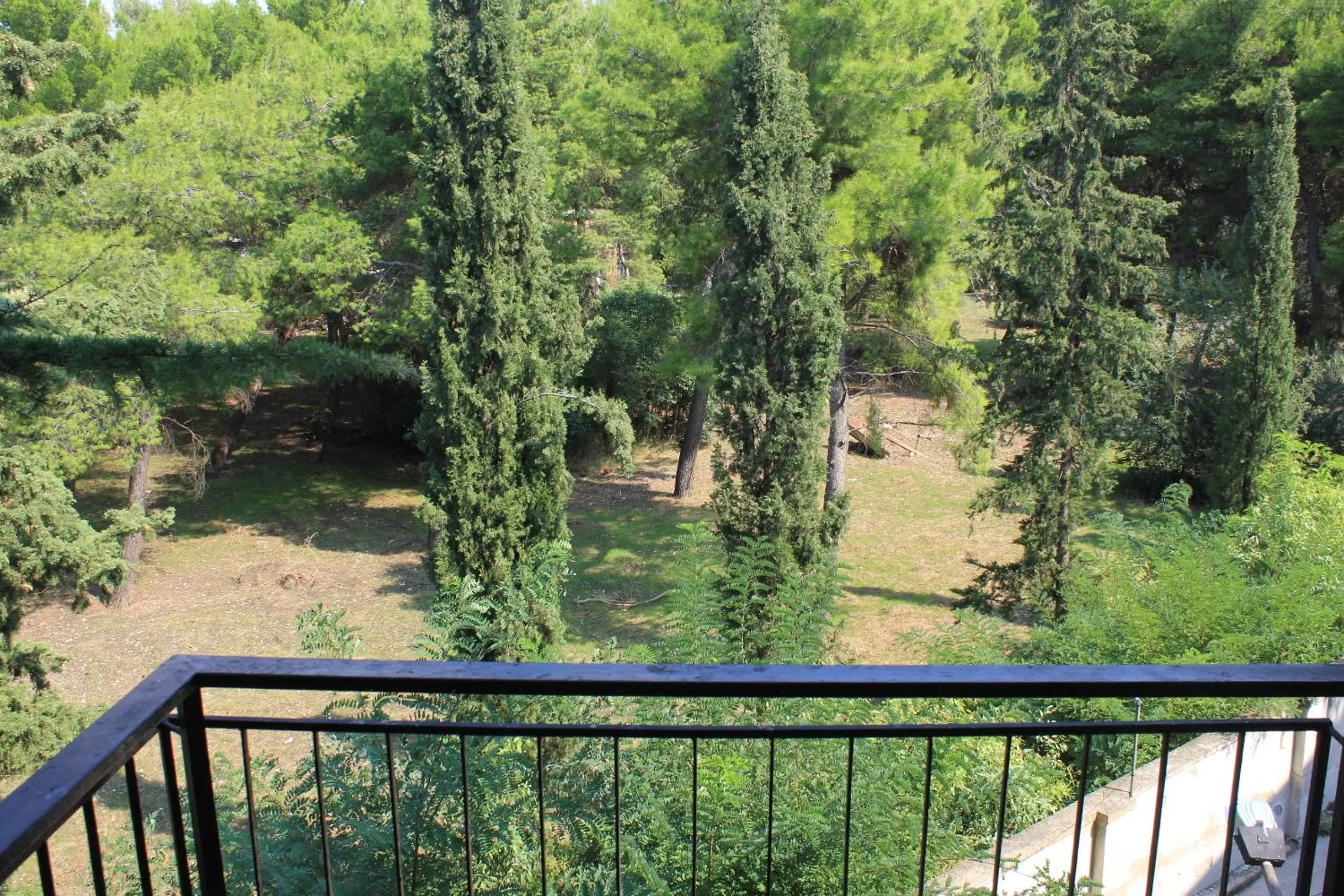 View (from property/room) in B&B Il Giardino In Città - Parcheggio Privato Gratuito