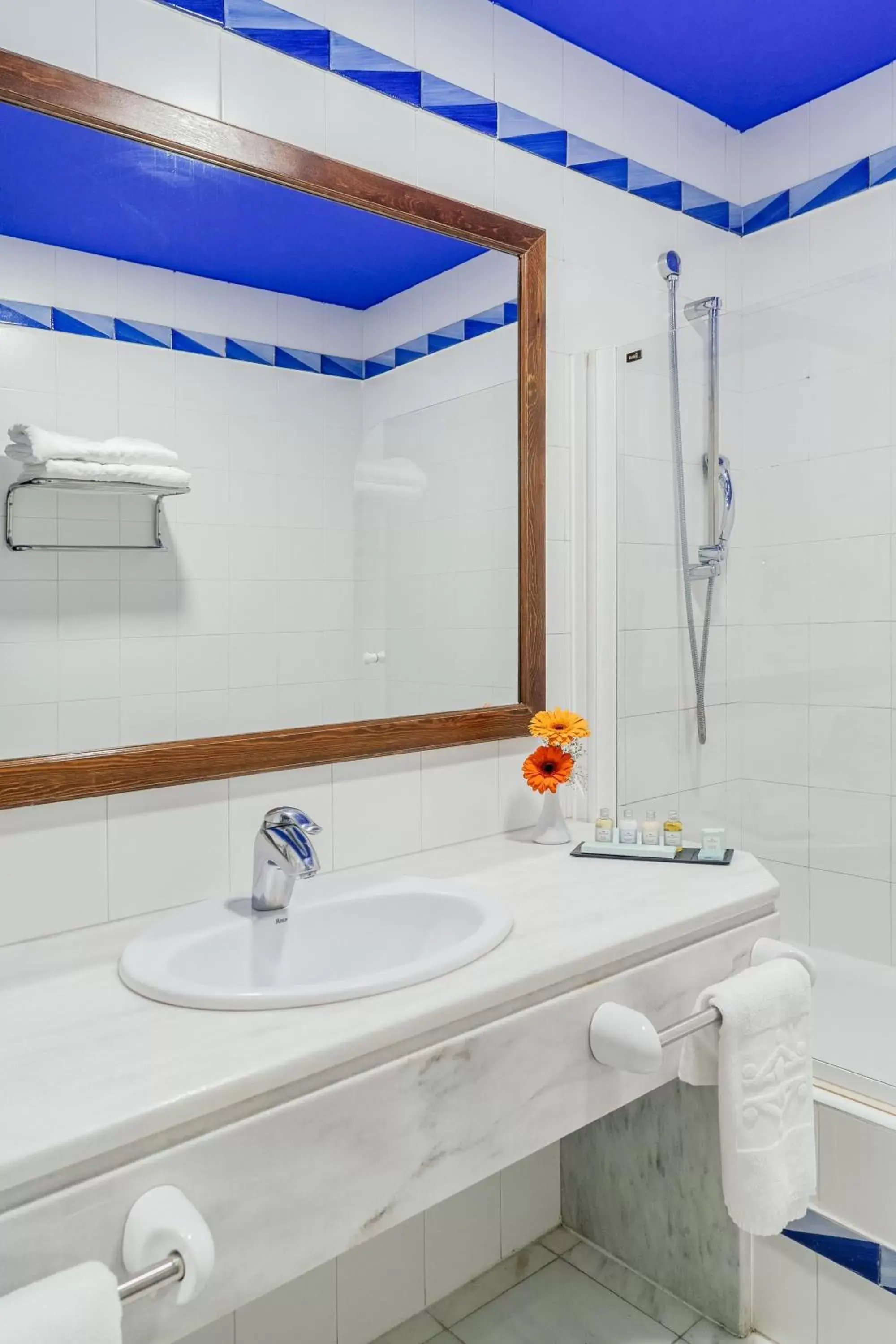 Decorative detail, Bathroom in Parador de Manzanares