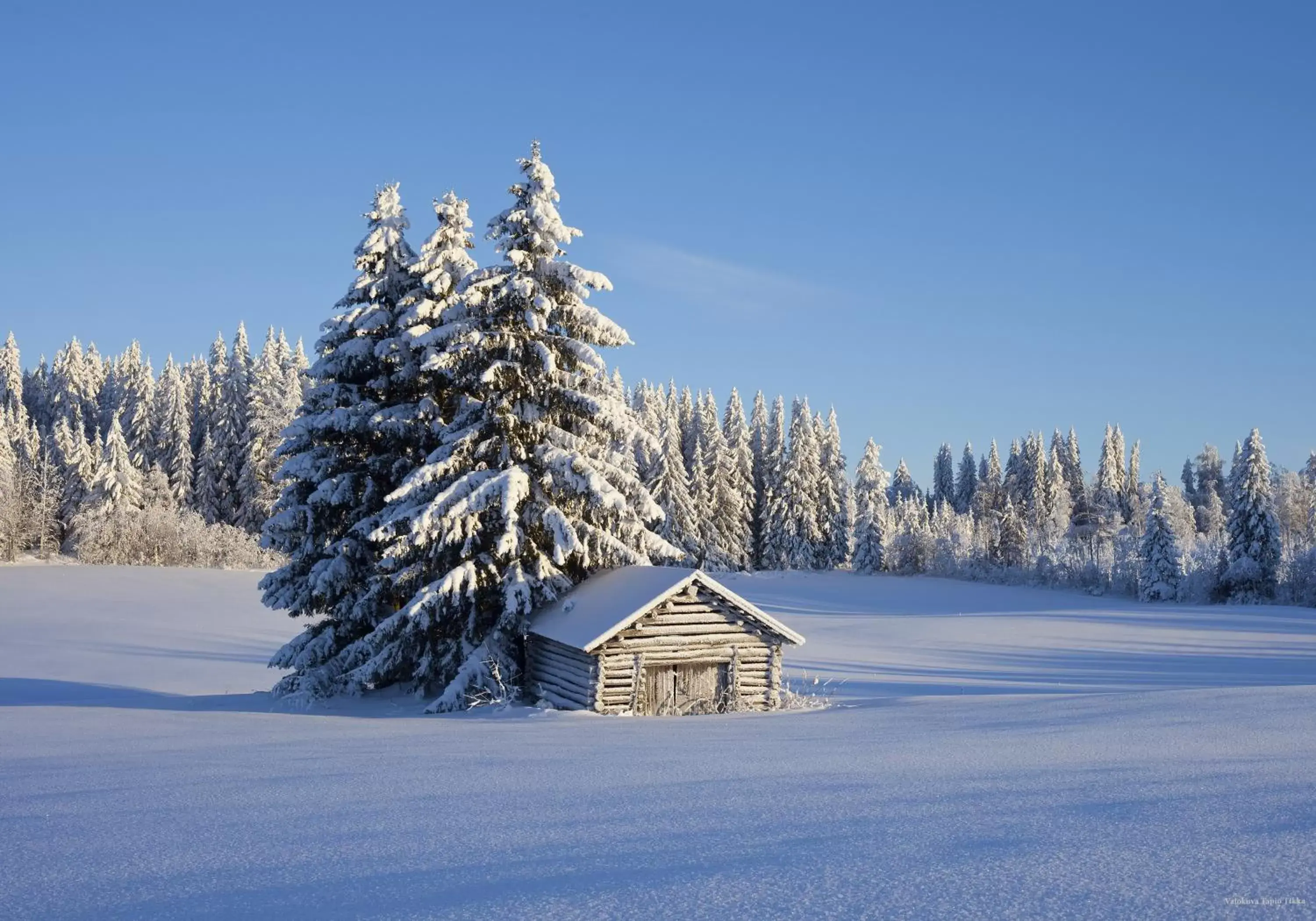 View (from property/room), Winter in Original Sokos Hotel Koljonvirta