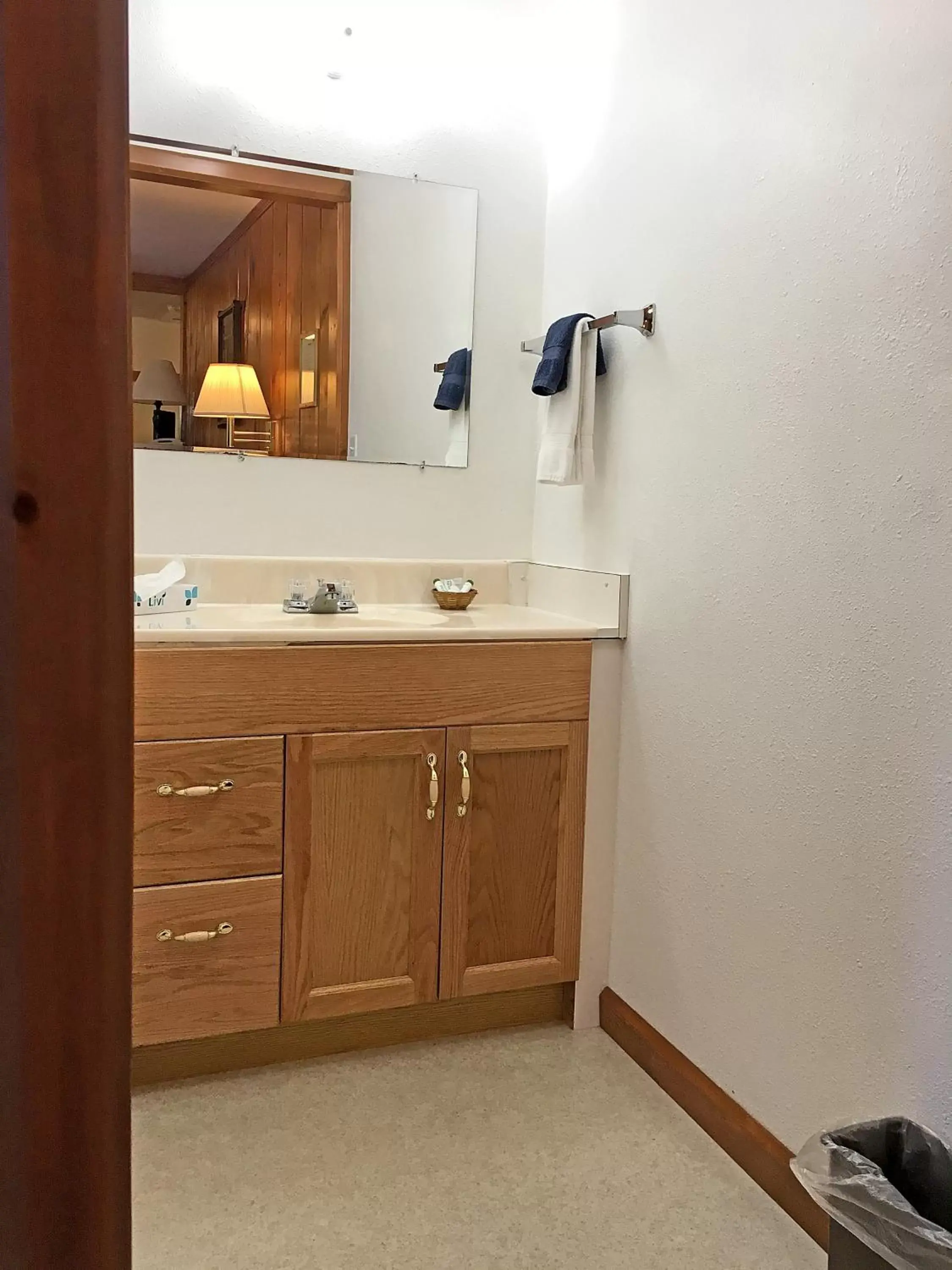 Bathroom in Park Motel and Cabins