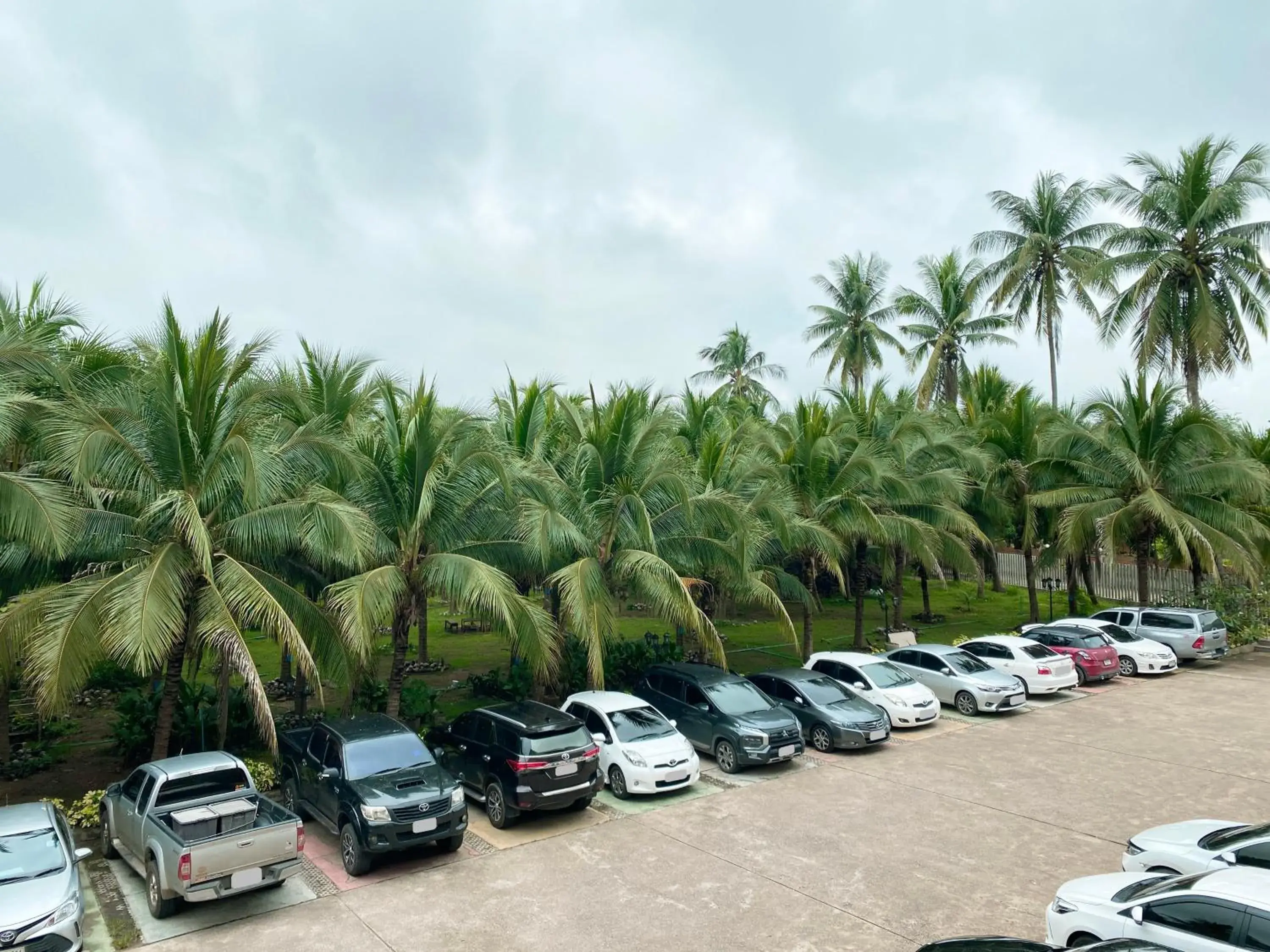 Natural landscape in The Coconut Hotel