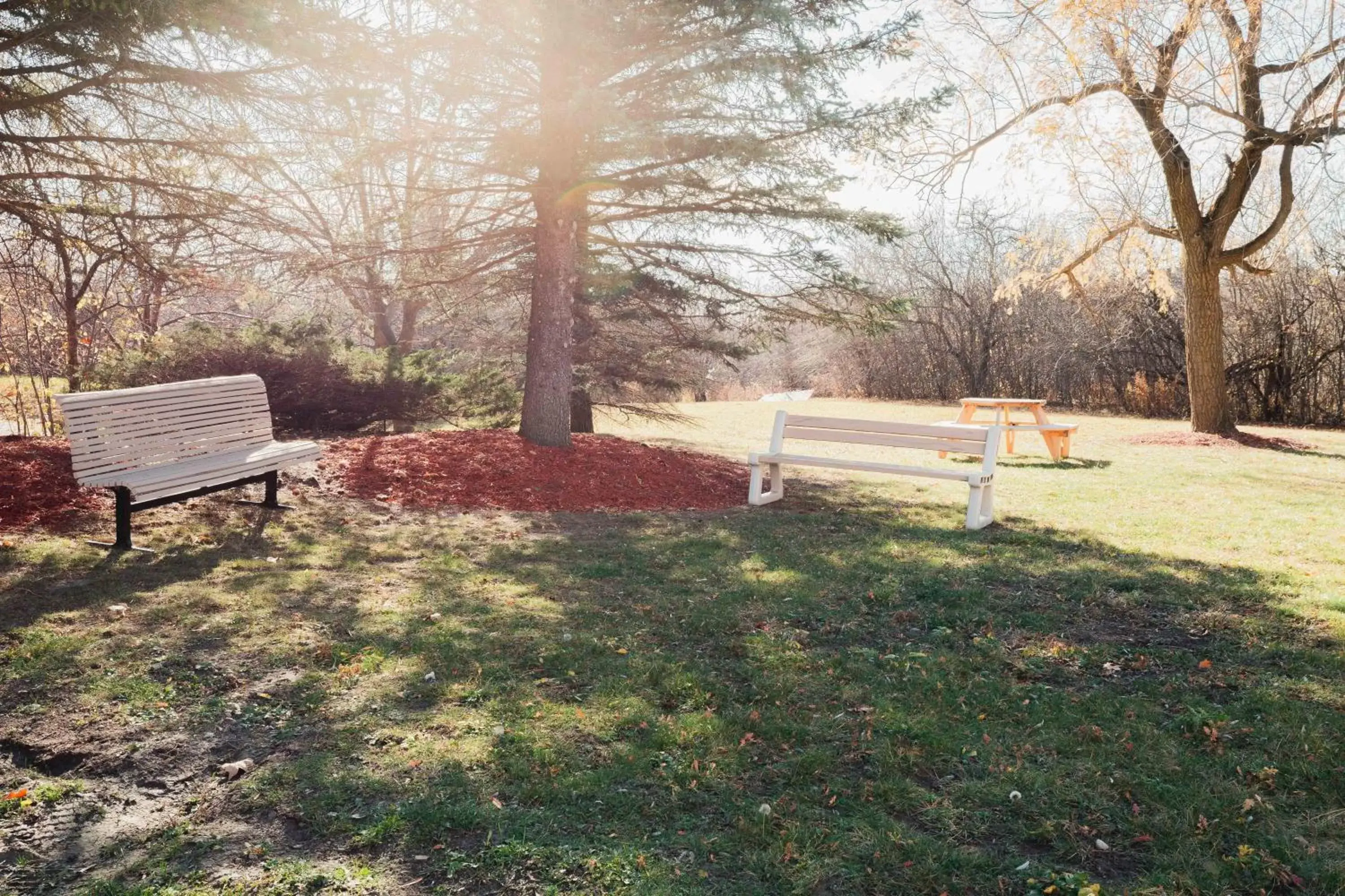 Garden in Newton Villa