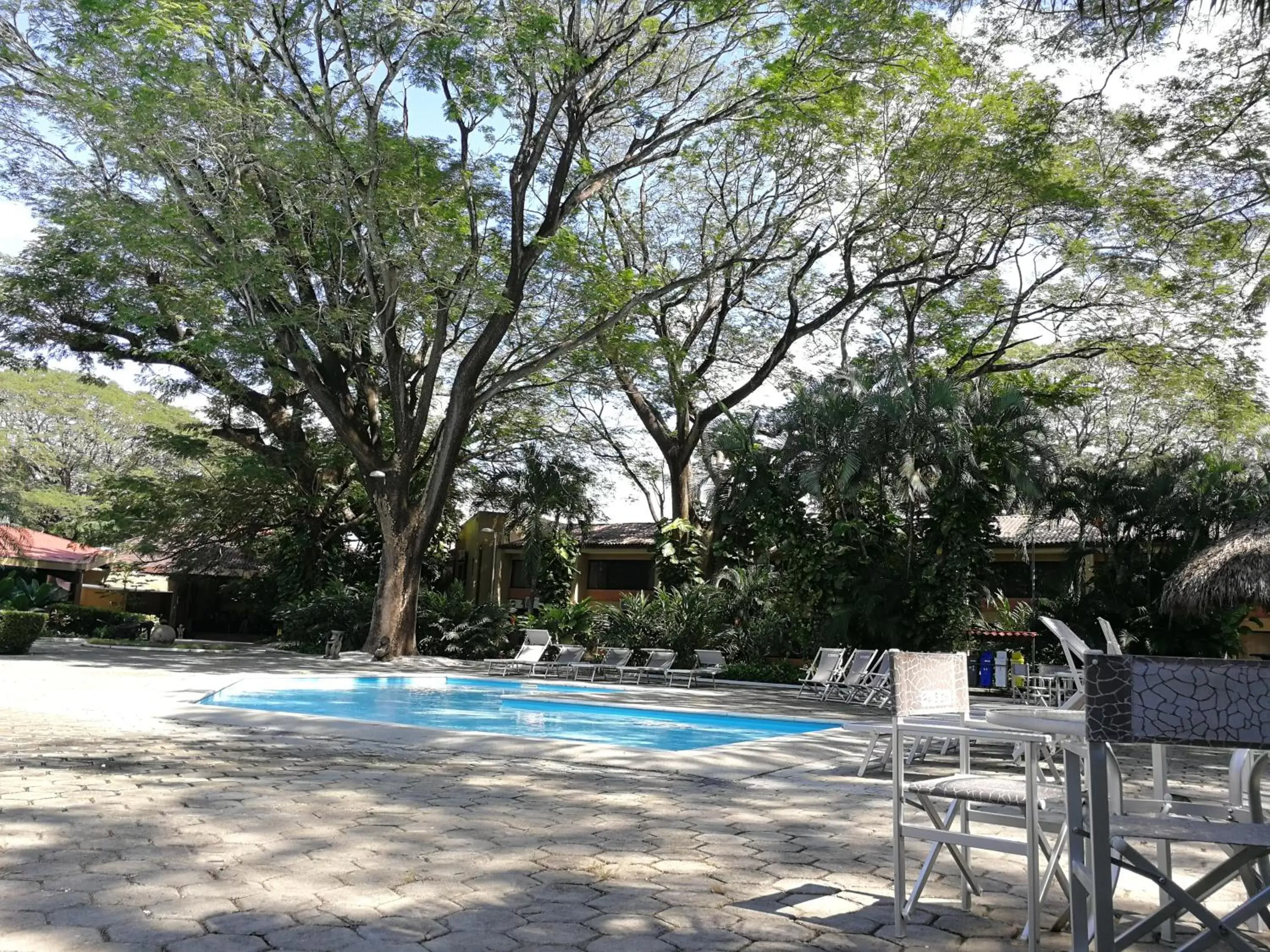 Pool view, Swimming Pool in Best Western El Sitio Hotel & Casino