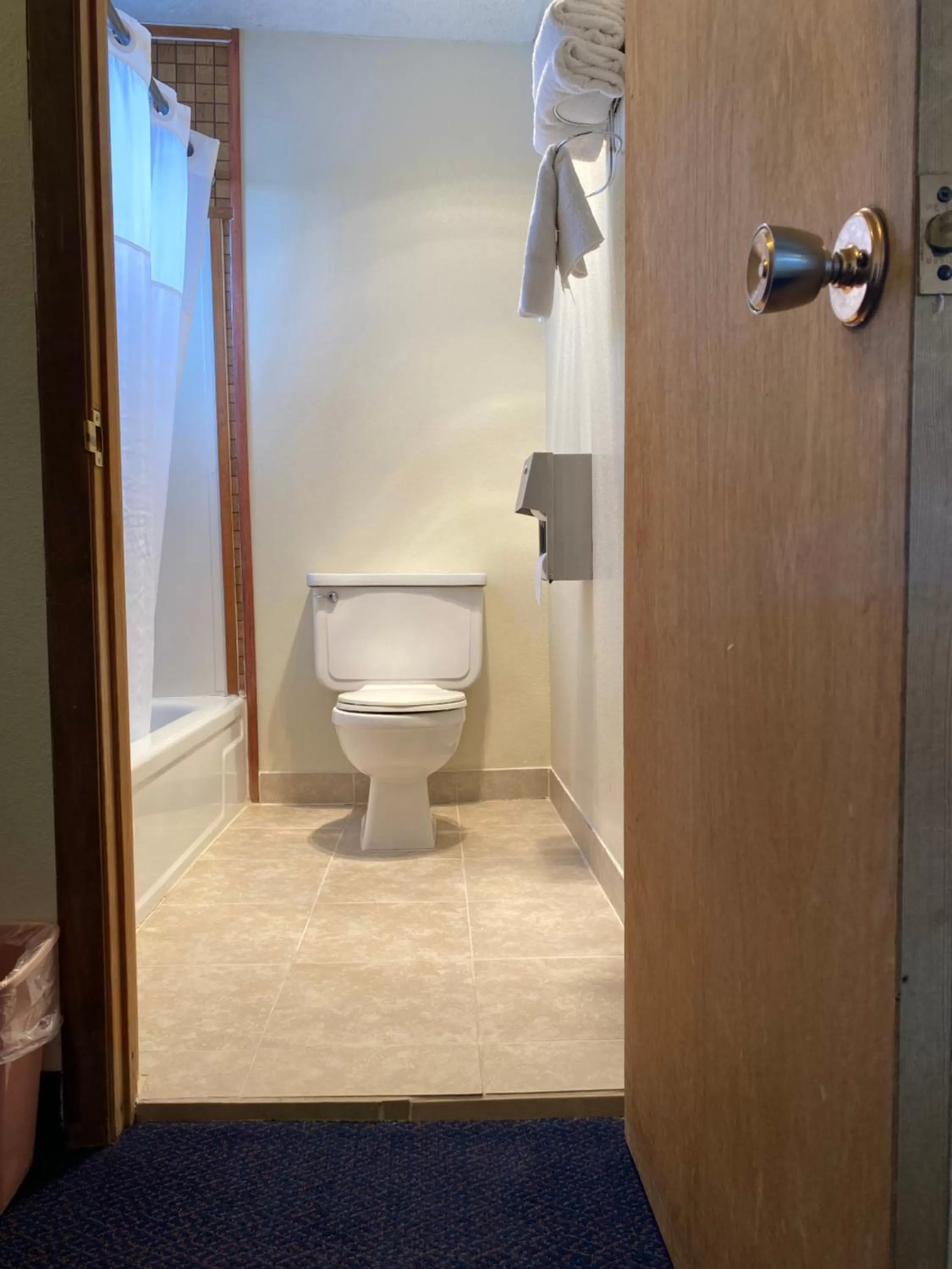 Bathroom in Budget Inn Las Vegas New Mexico