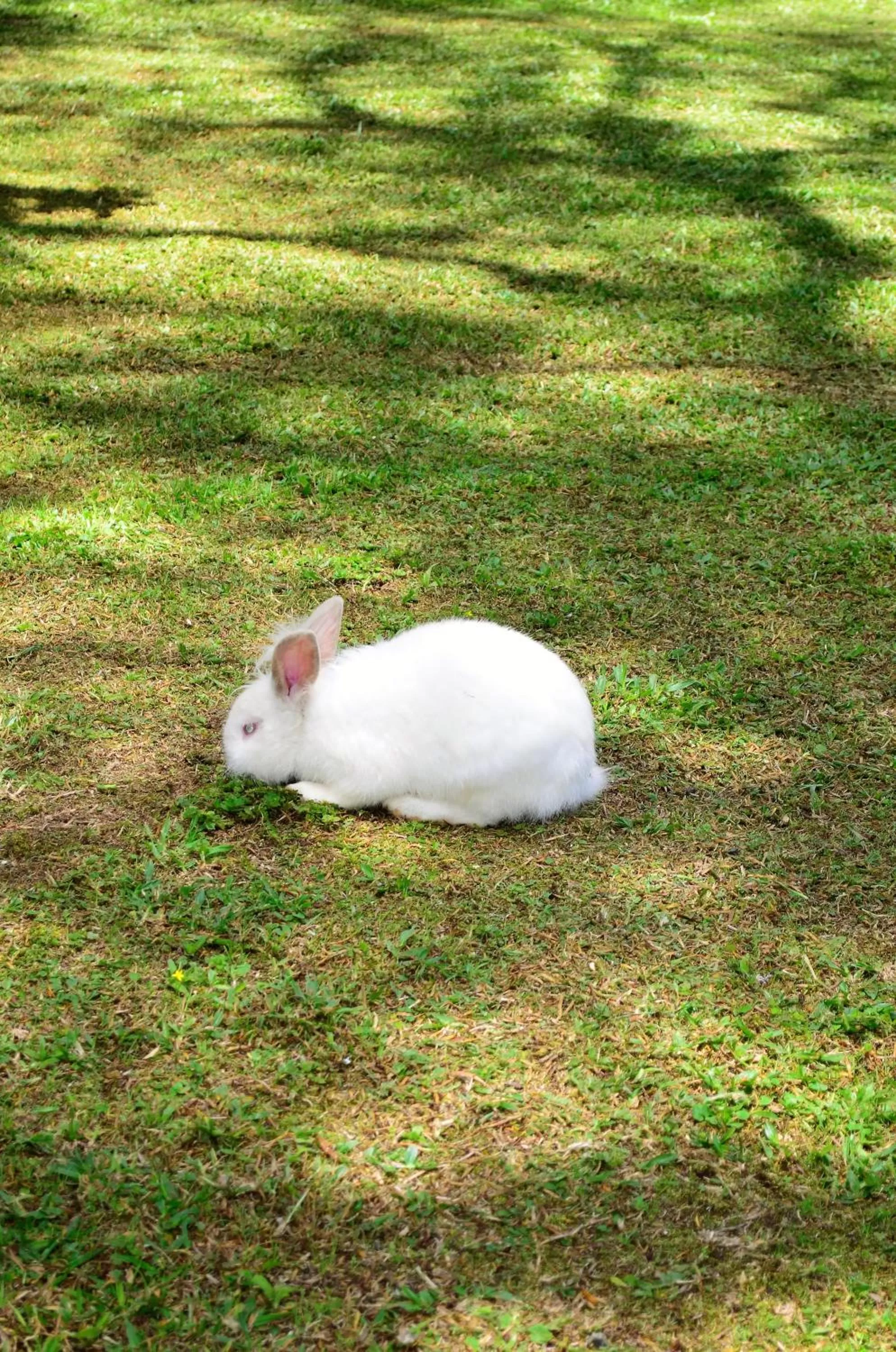 Pousada Toca Da Coruja