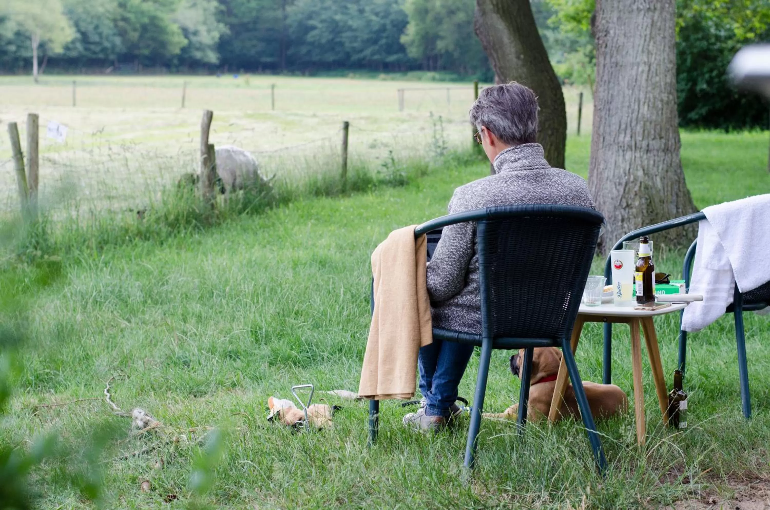 Natural landscape in Landhotel Diever