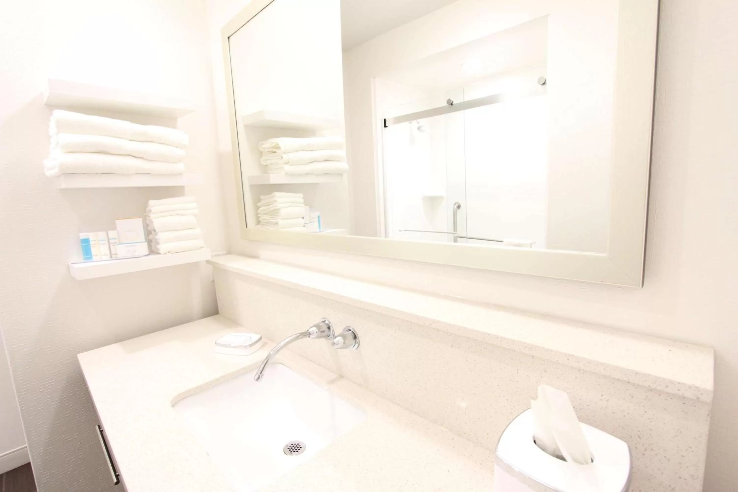 Bathroom in Hampton Inn & Suites Dallas Market Center