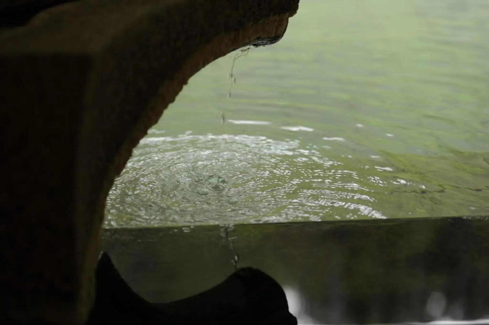 Hot Spring Bath in Shirasagiyu Tawaraya