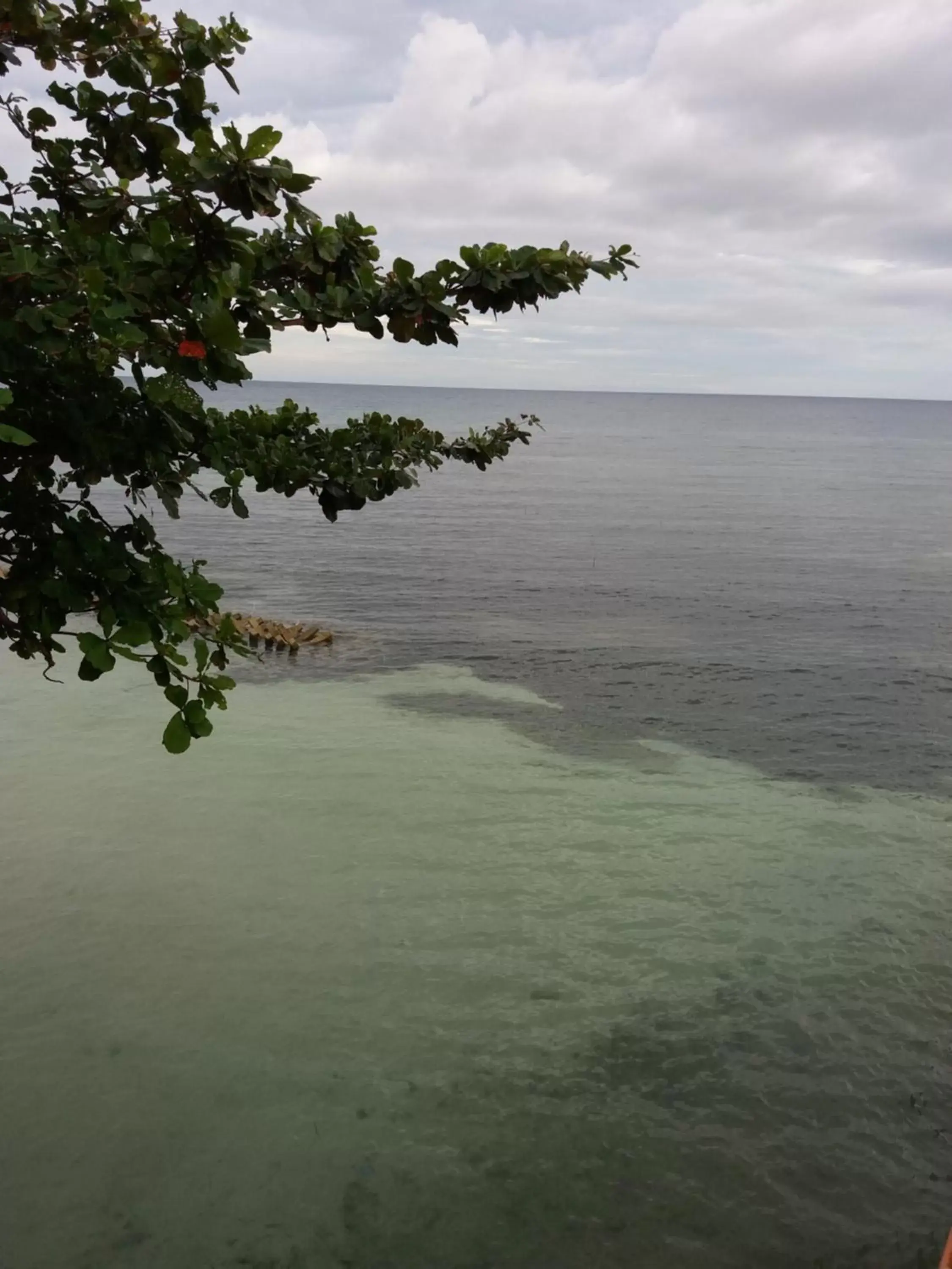 Sea view in Sascha's Resort Oslob