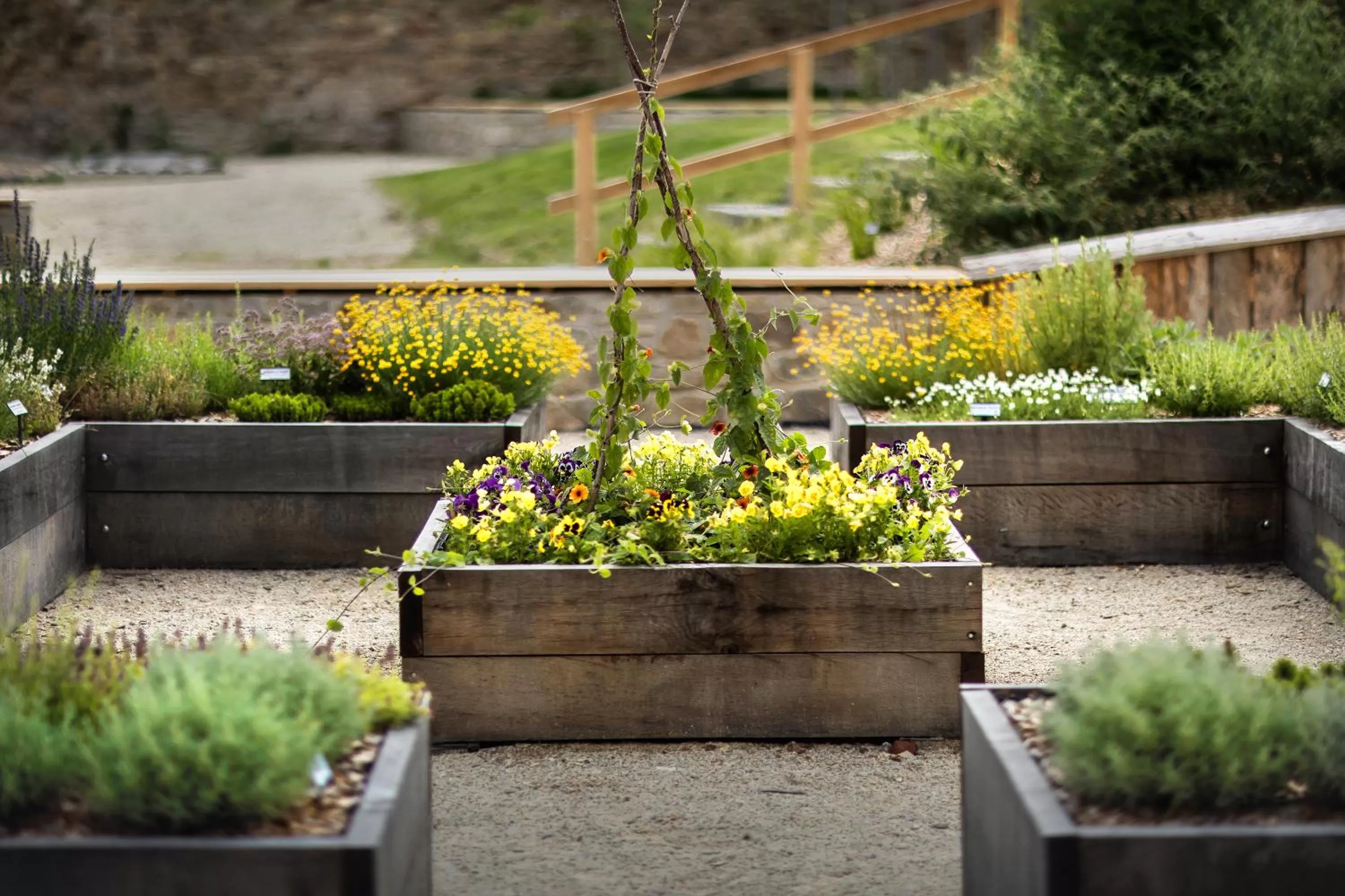 Patio in Penzion Panský dvůr Telč