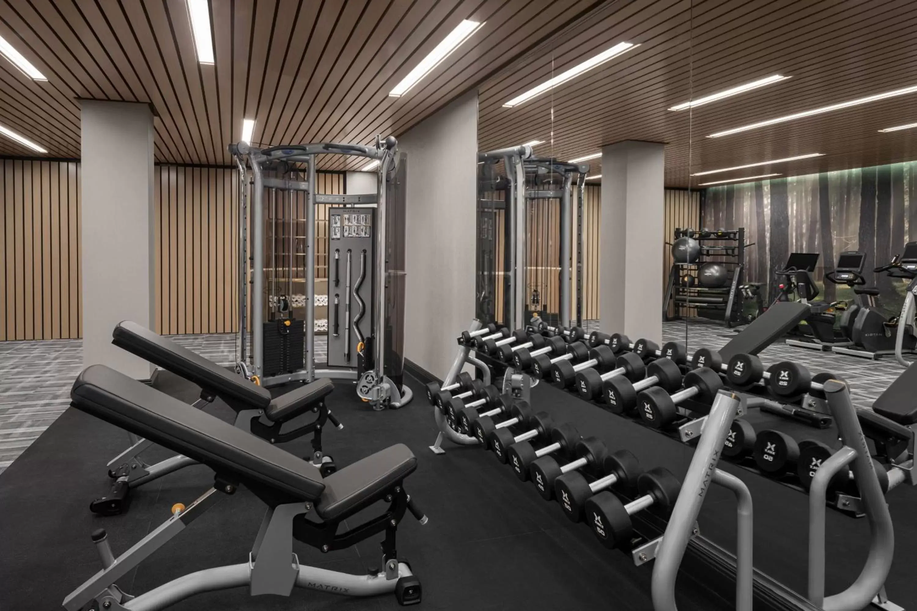 Fitness centre/facilities, Fitness Center/Facilities in The Lytle Park Hotel, Autograph Collection