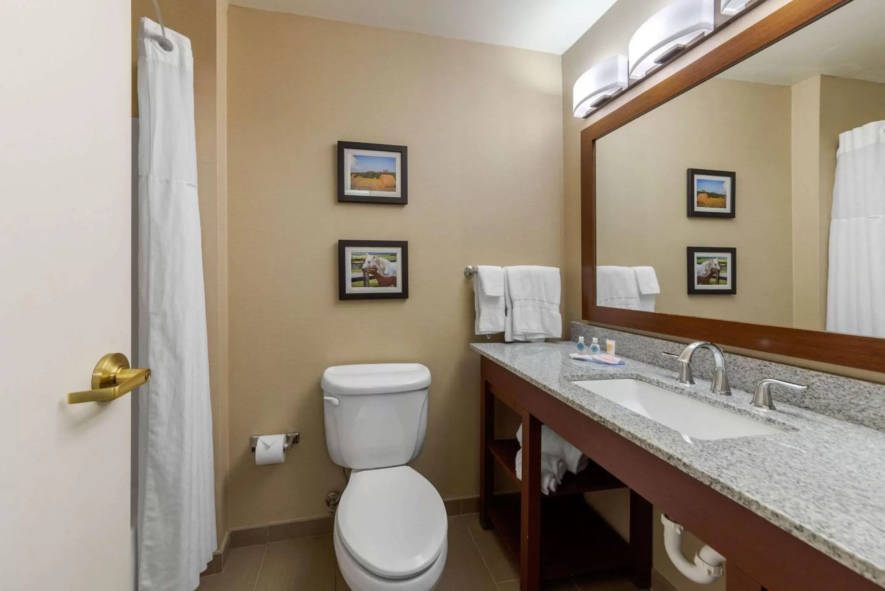 Photo of the whole room, Bathroom in Comfort Inn & Suites Northern Kentucky