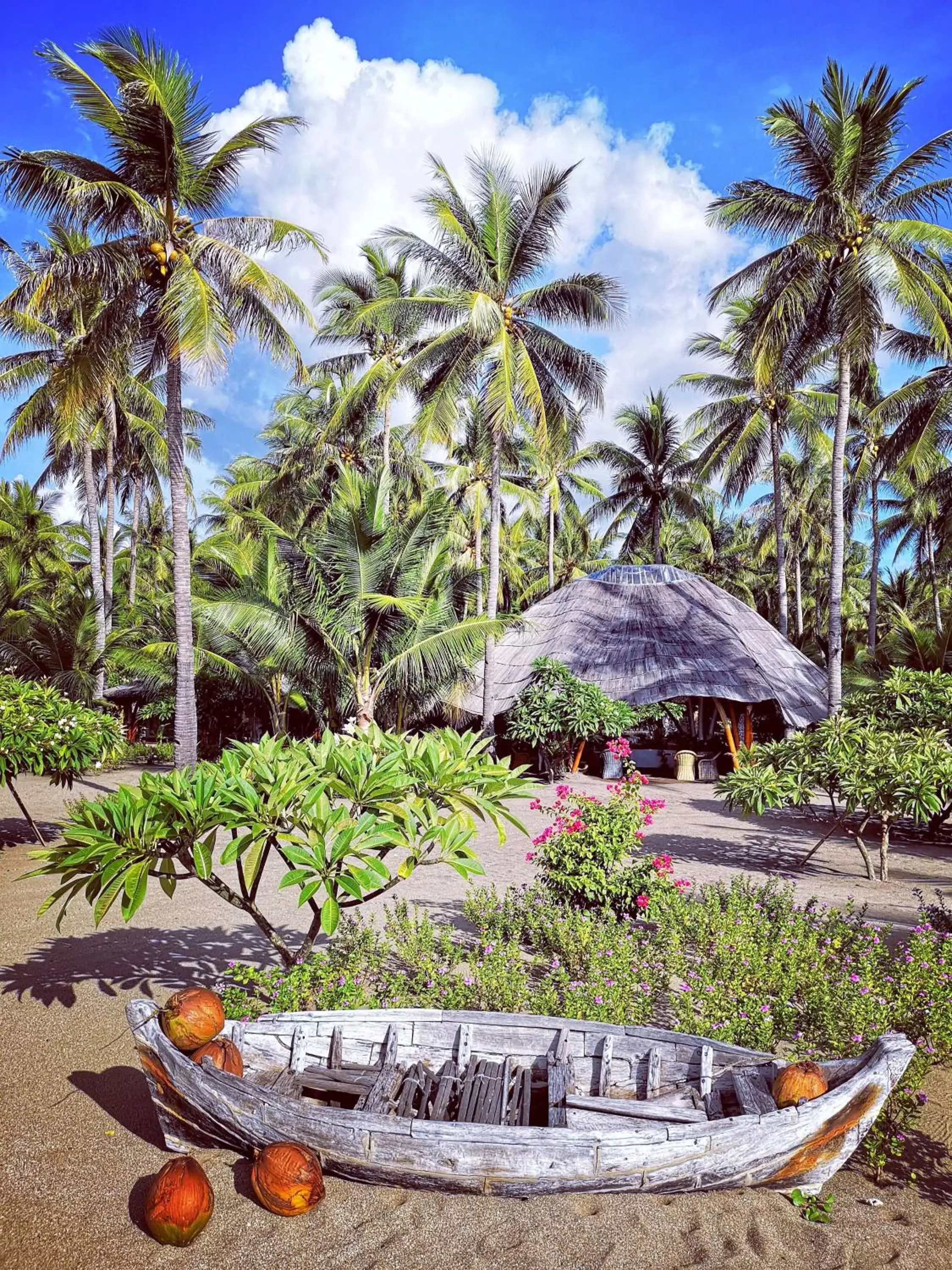 Restaurant/places to eat in Coconut Garden Beach Resort