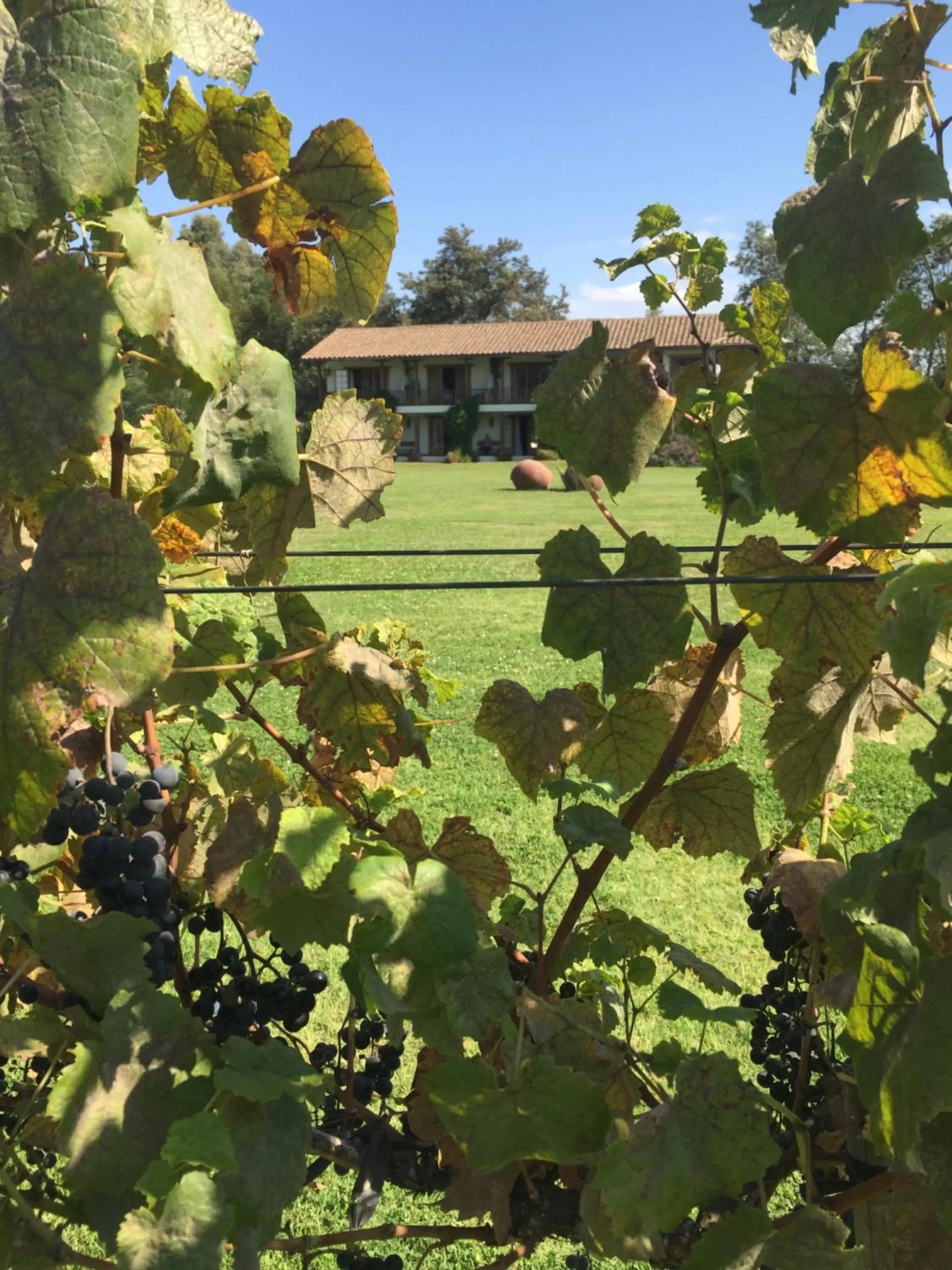 Decorative detail in Hotel Casa De Campo